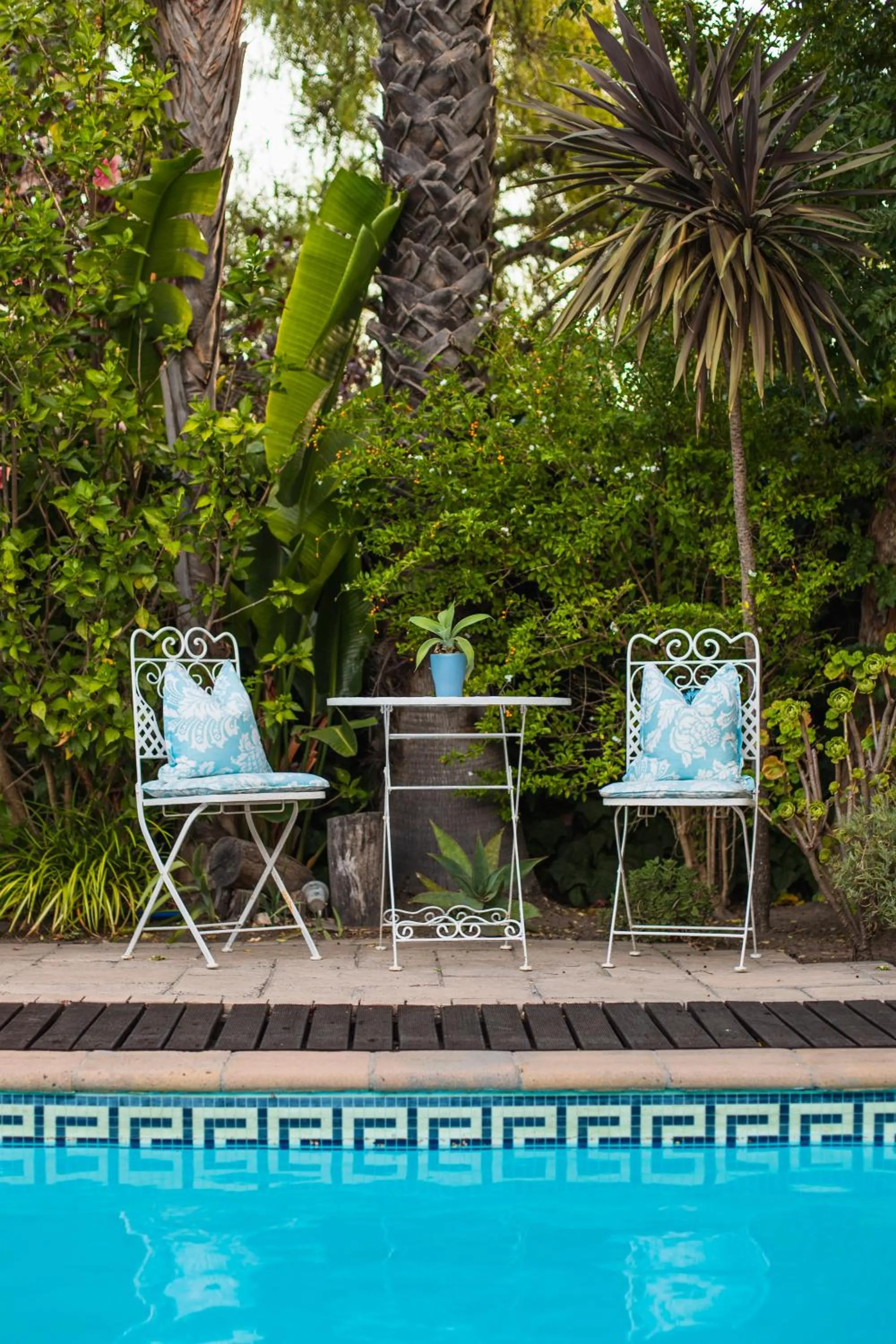 Swimming pool in Khashamongo B & B