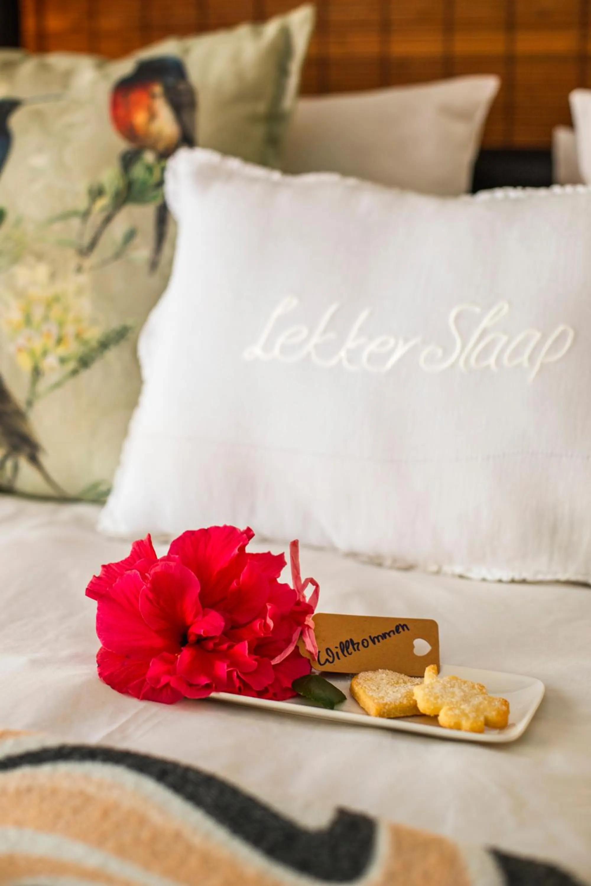 Logo/Certificate/Sign, Bed in Khashamongo B & B