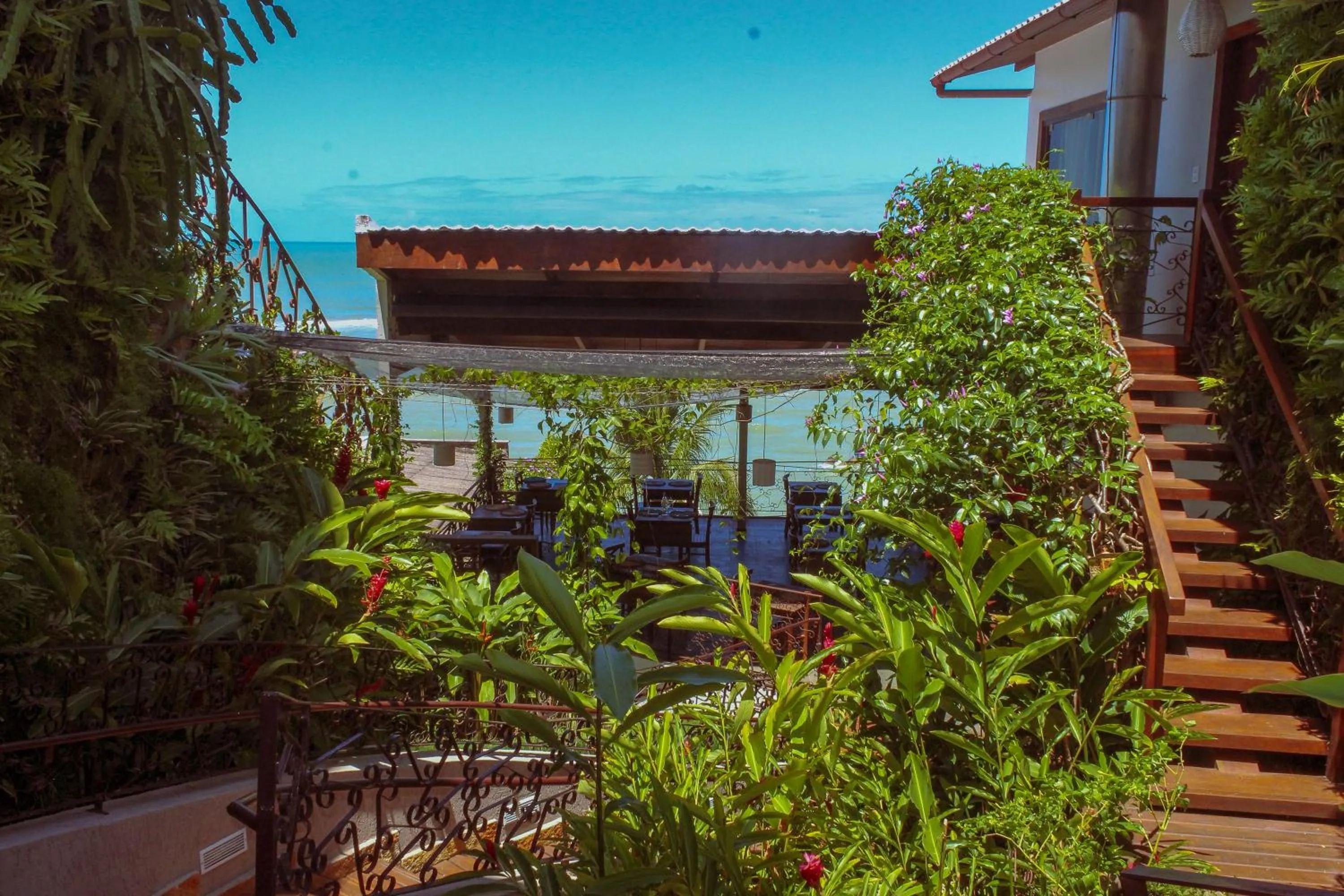 Garden in Boutique Hotel Marlin's