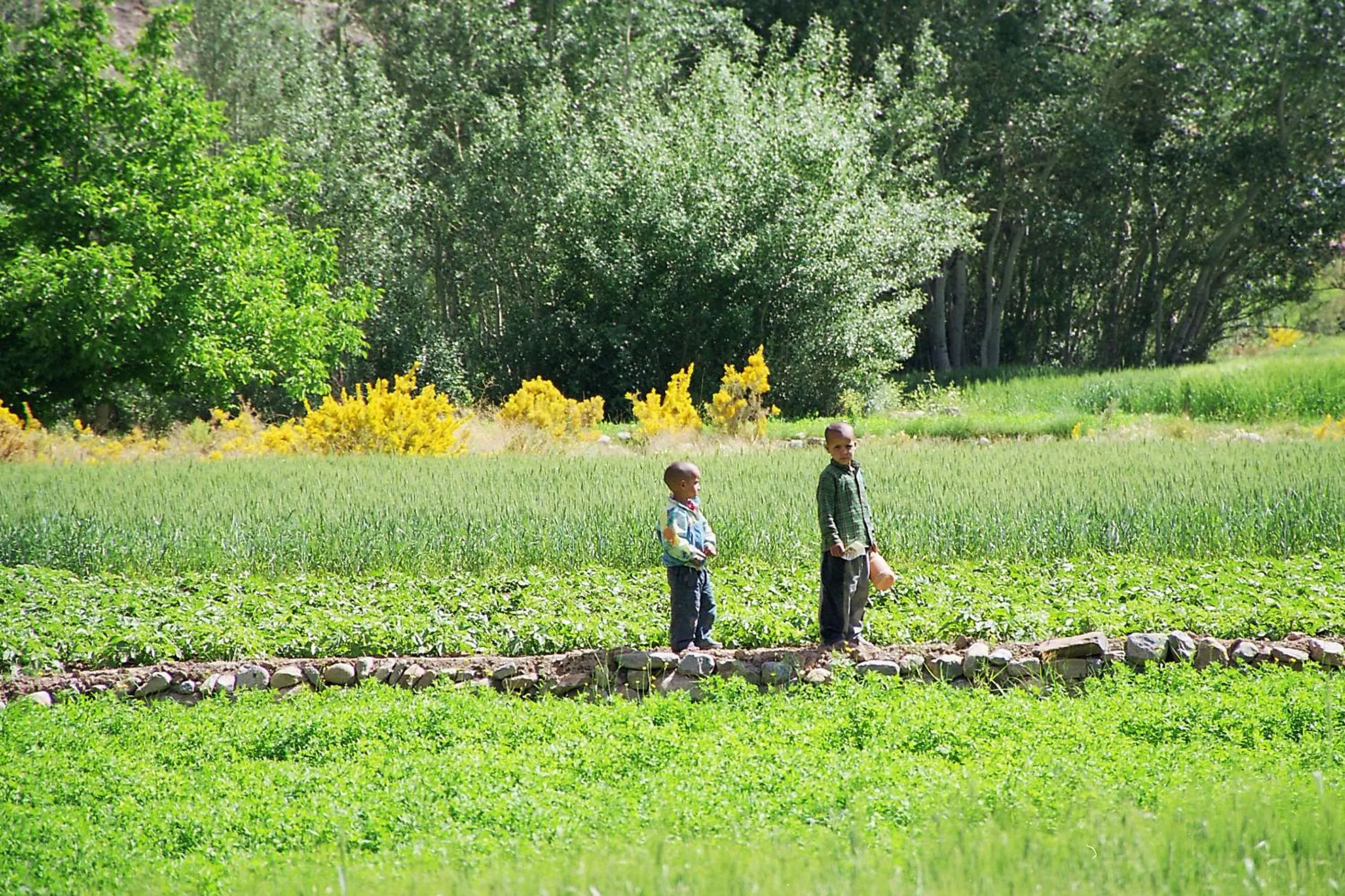 Hiking in Dar Housnia