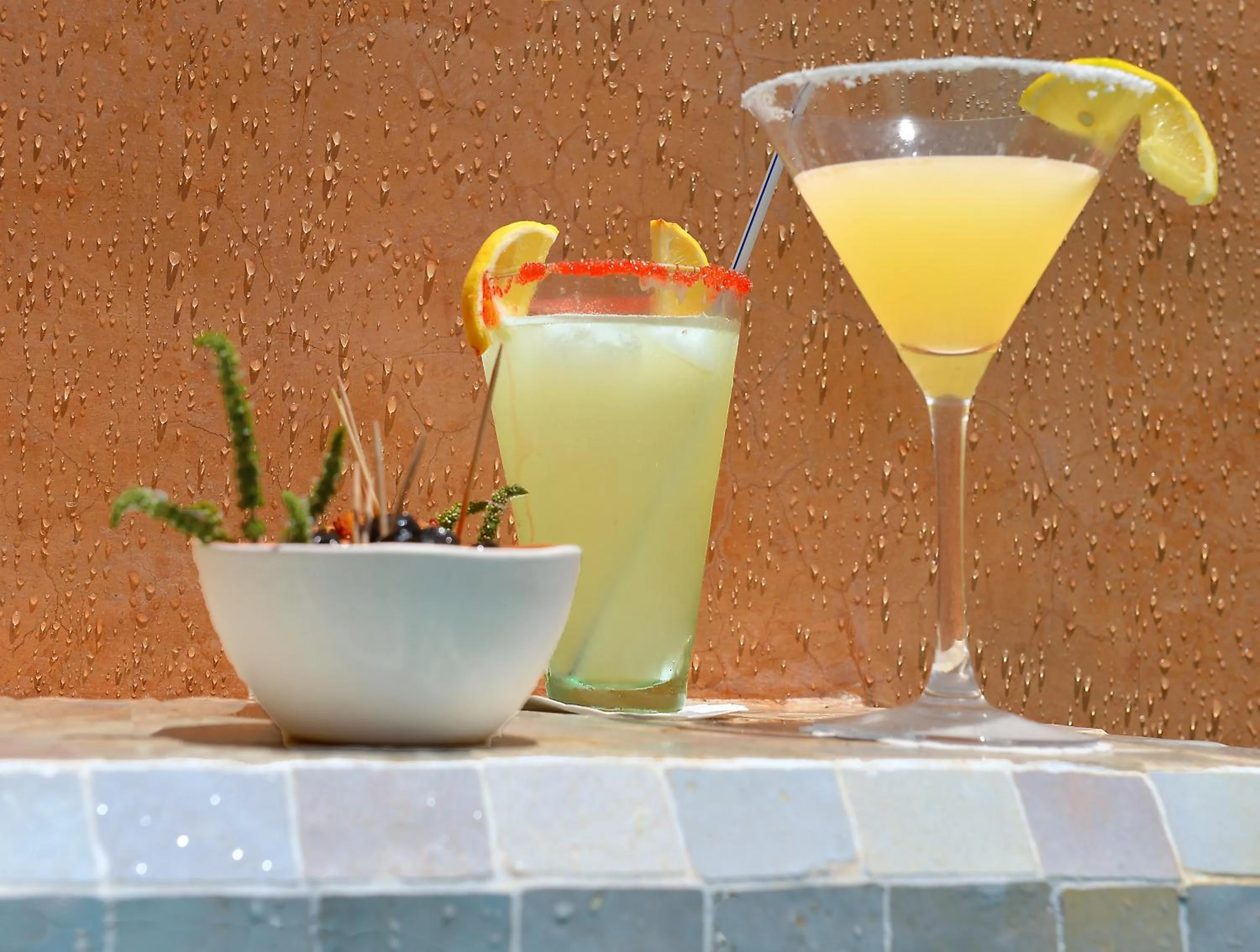 Alcoholic drinks in Dar Housnia