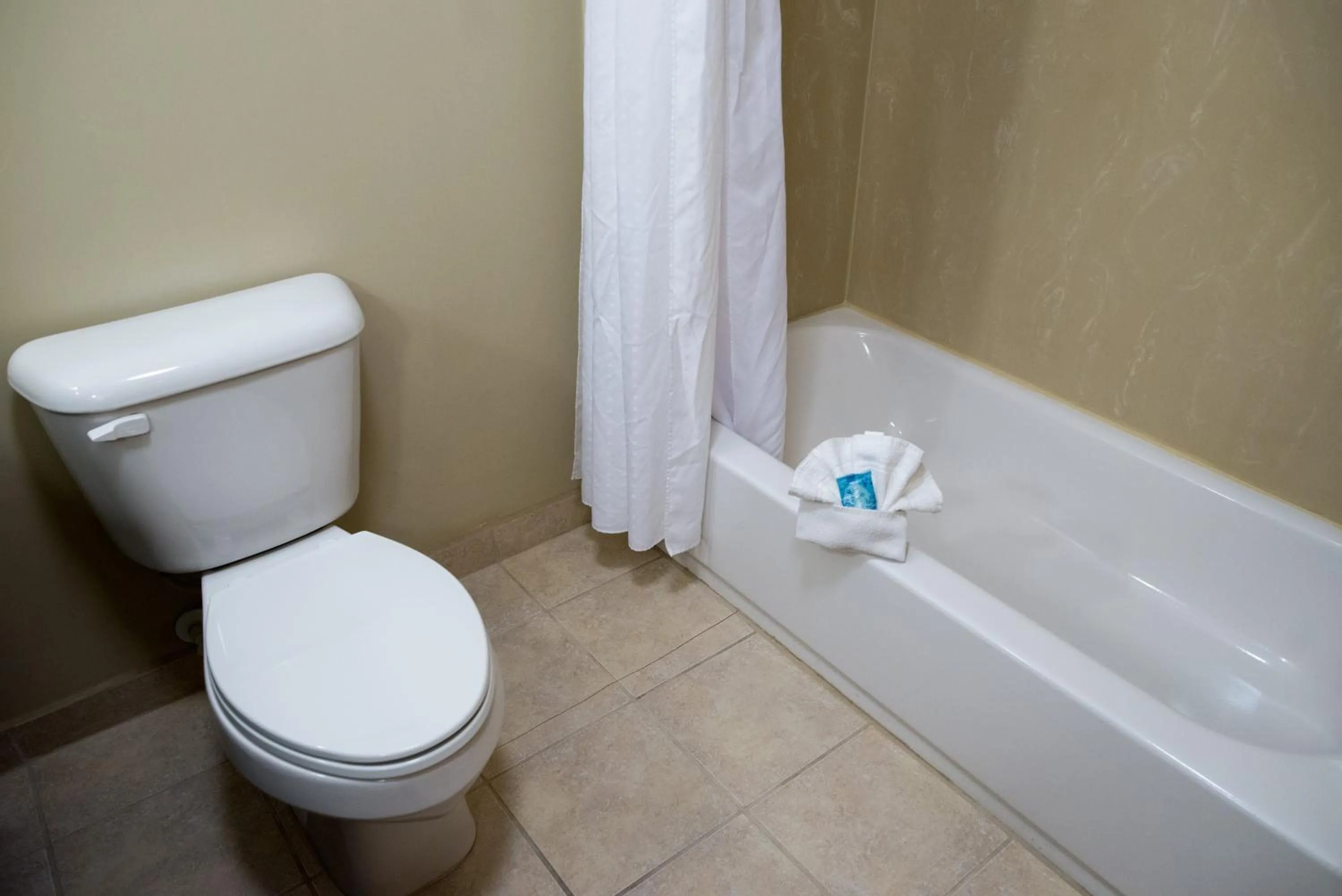 Bathroom in Holiday Inn Express - Albert Lea by IHG