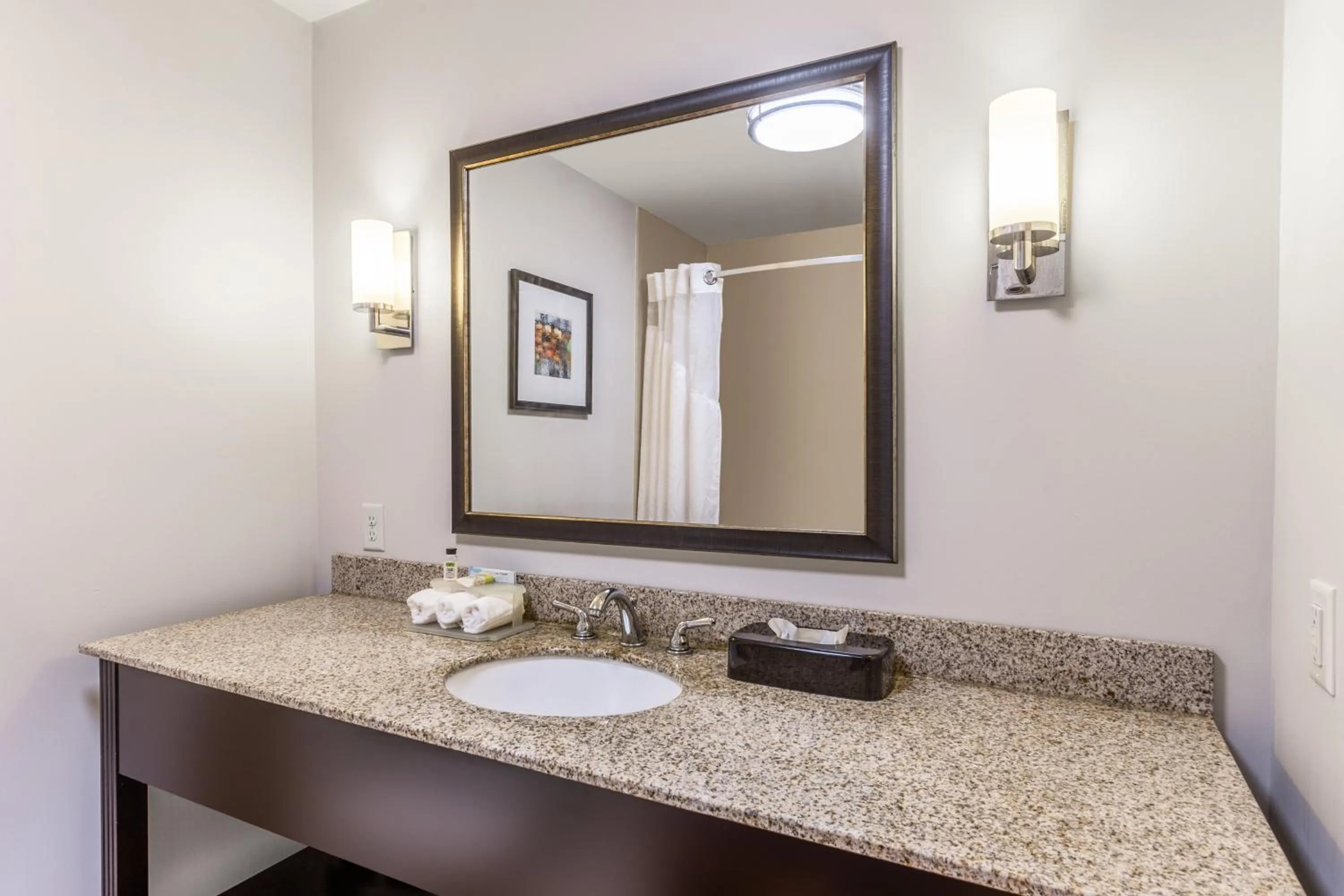 Bathroom in Holiday Inn Express - Albert Lea by IHG