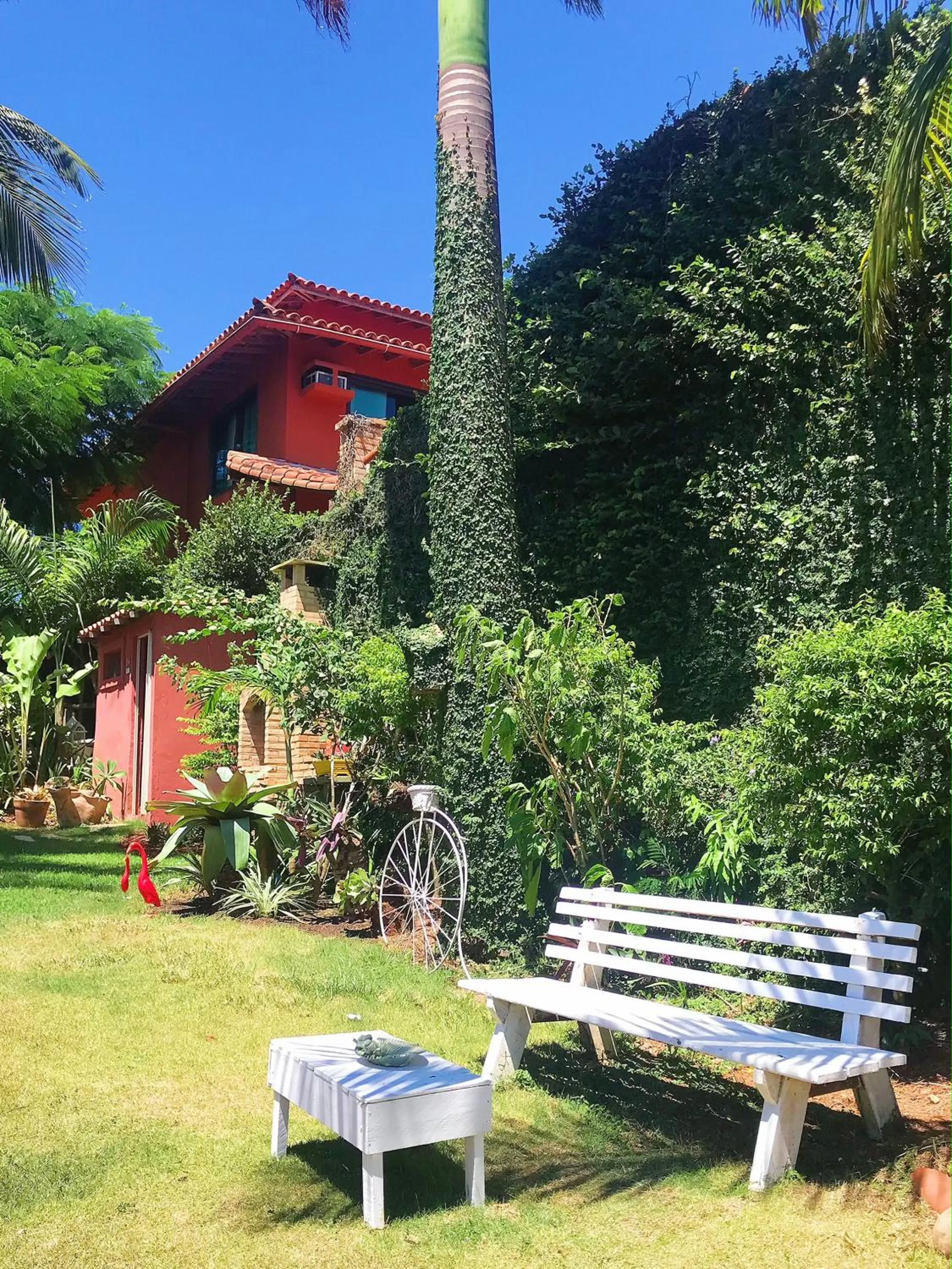 Natural landscape in Star Búzios Pousada