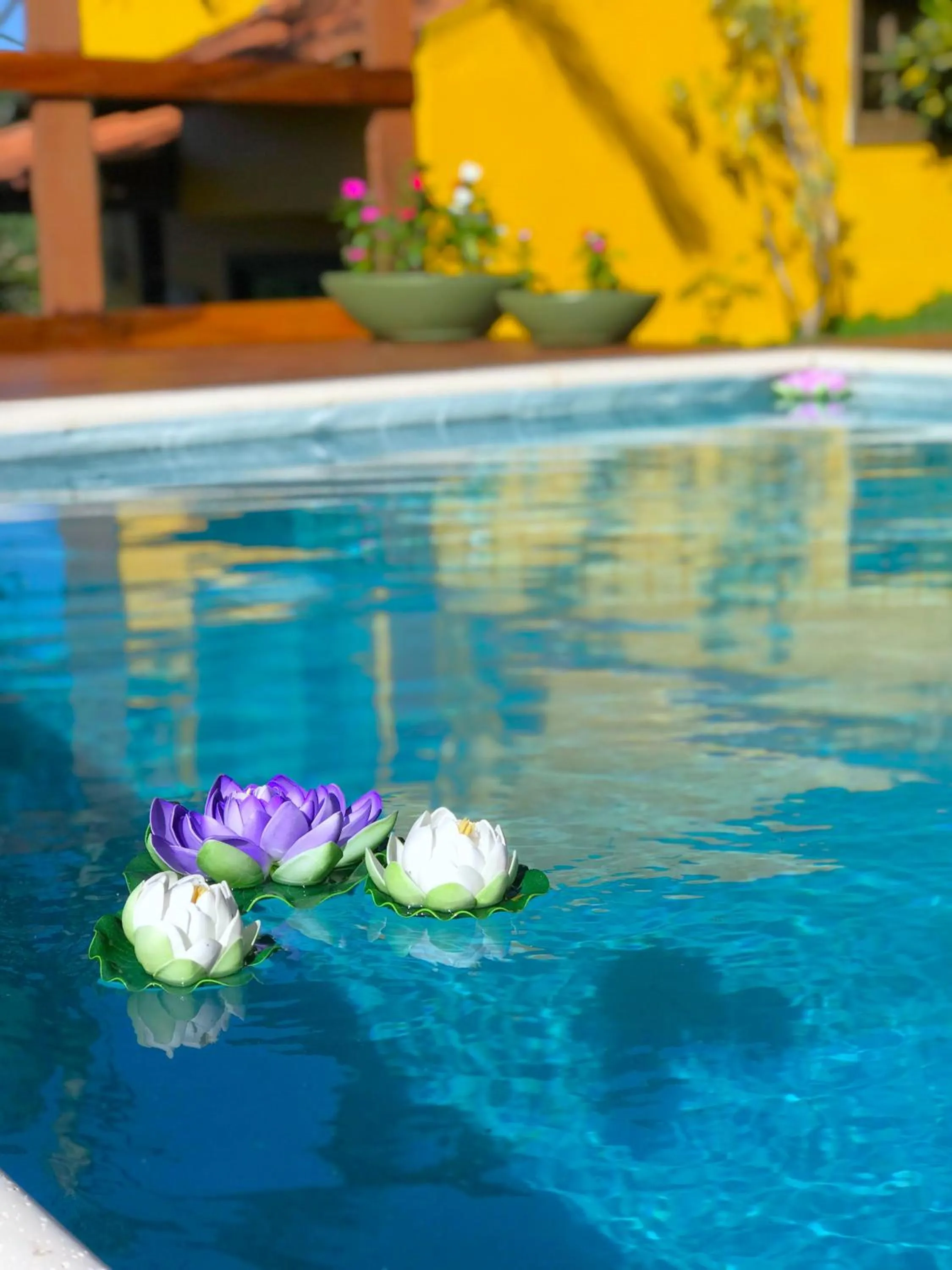 Swimming pool in Star Búzios Pousada