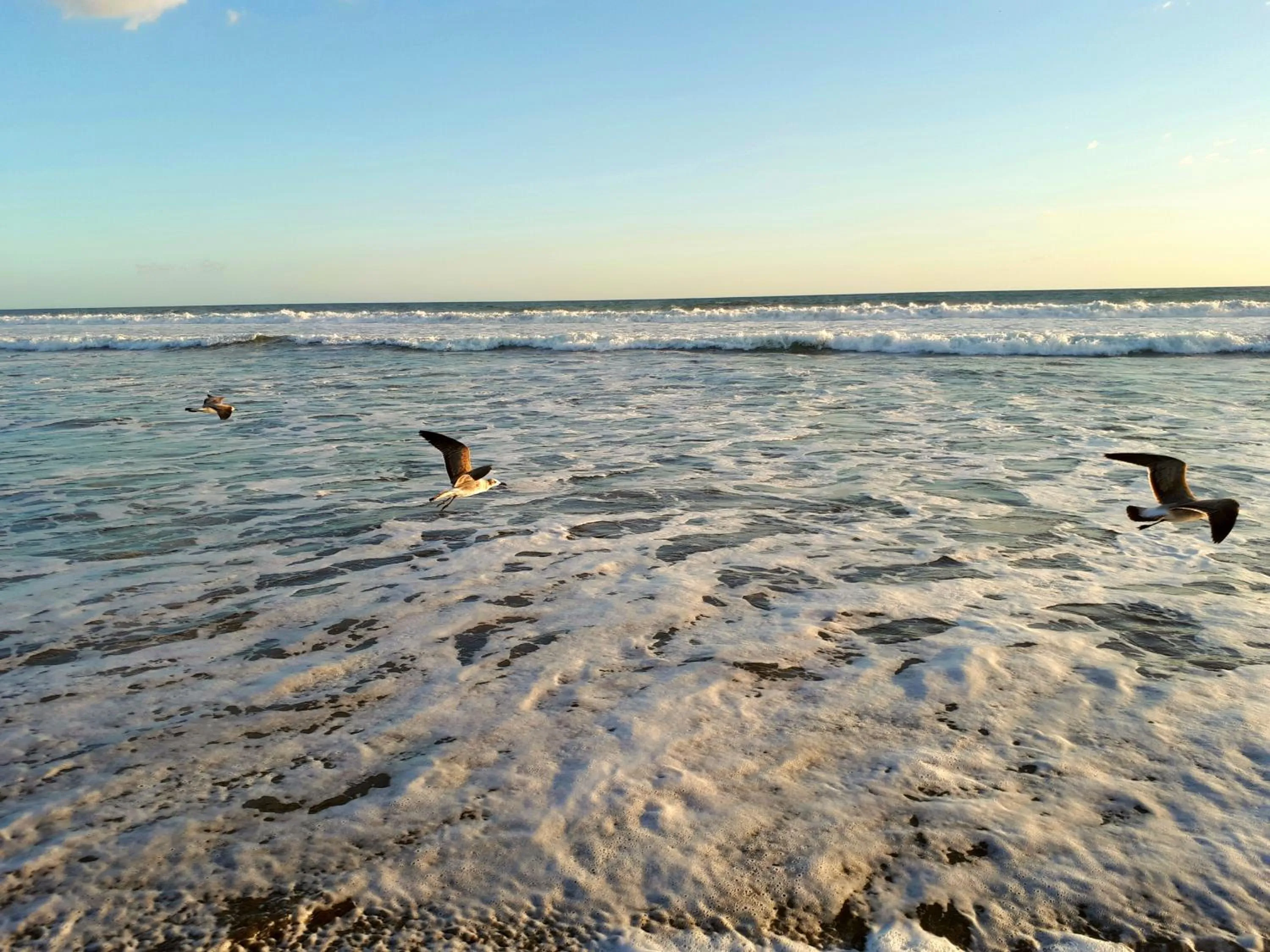 Beach in Las Olas Beach Resort