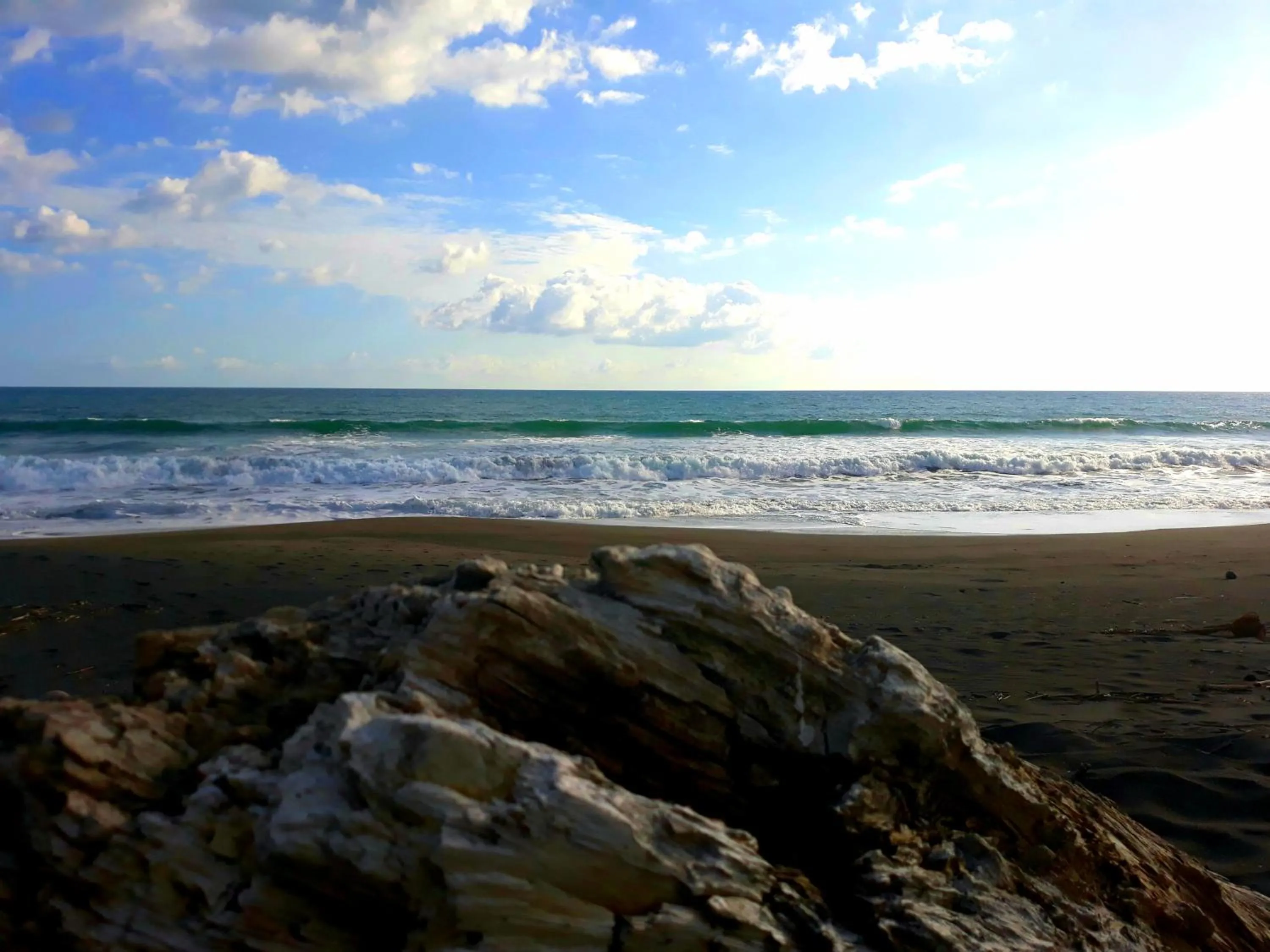 Beach in Las Olas Beach Resort