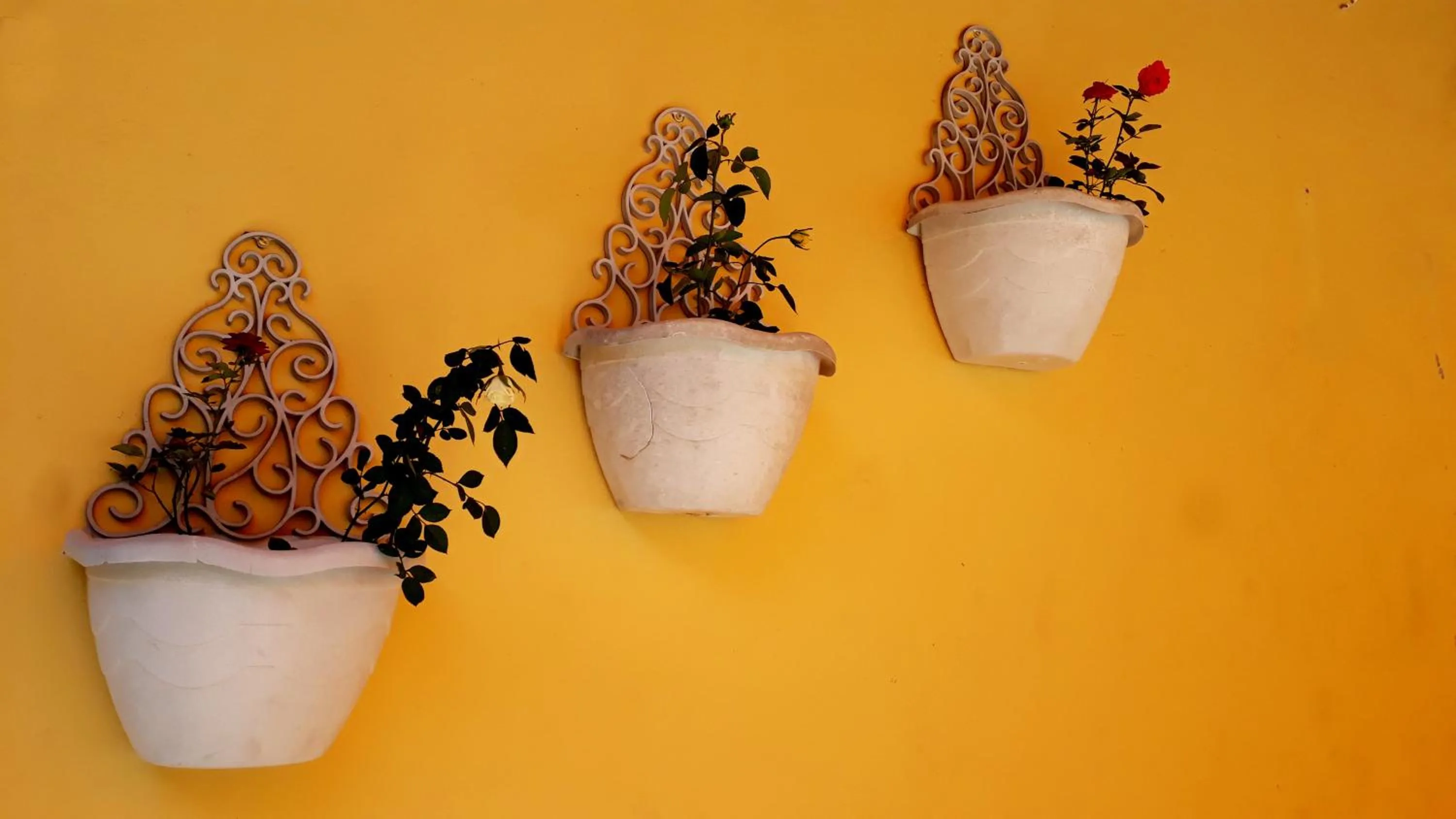 Morada Recanto das Flores