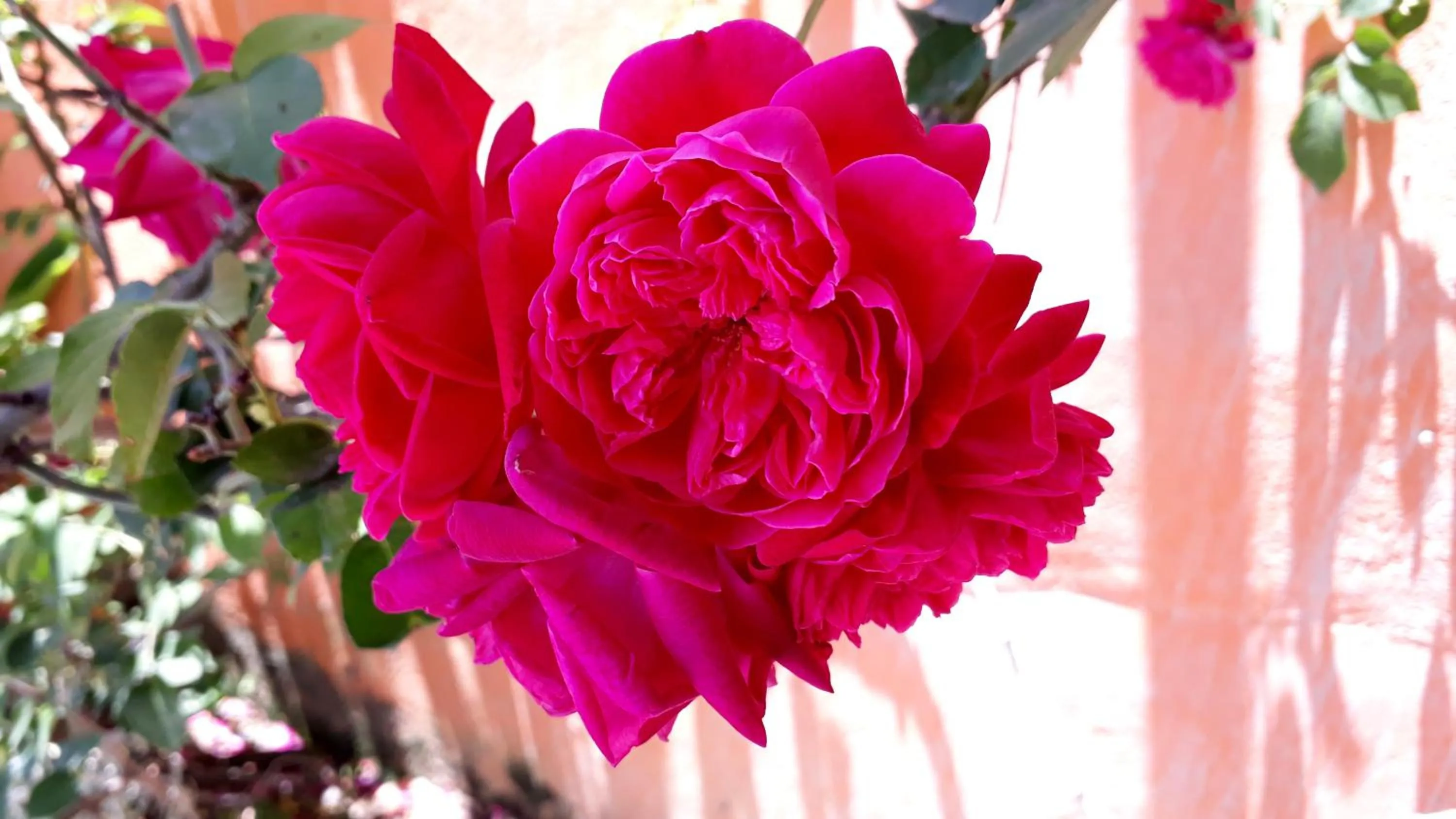 Morada Recanto das Flores