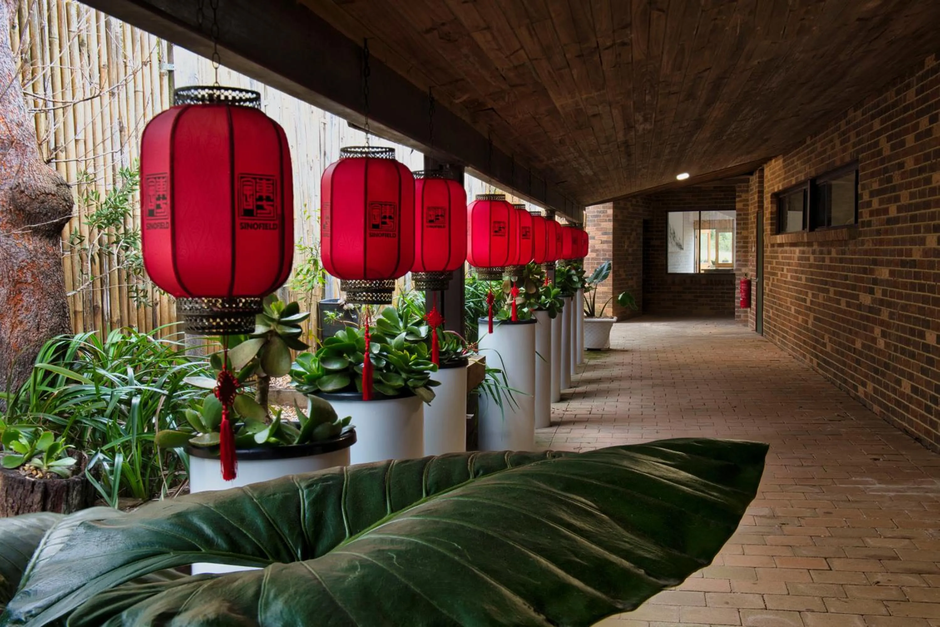 Other in Sinofield Edu-Retreat