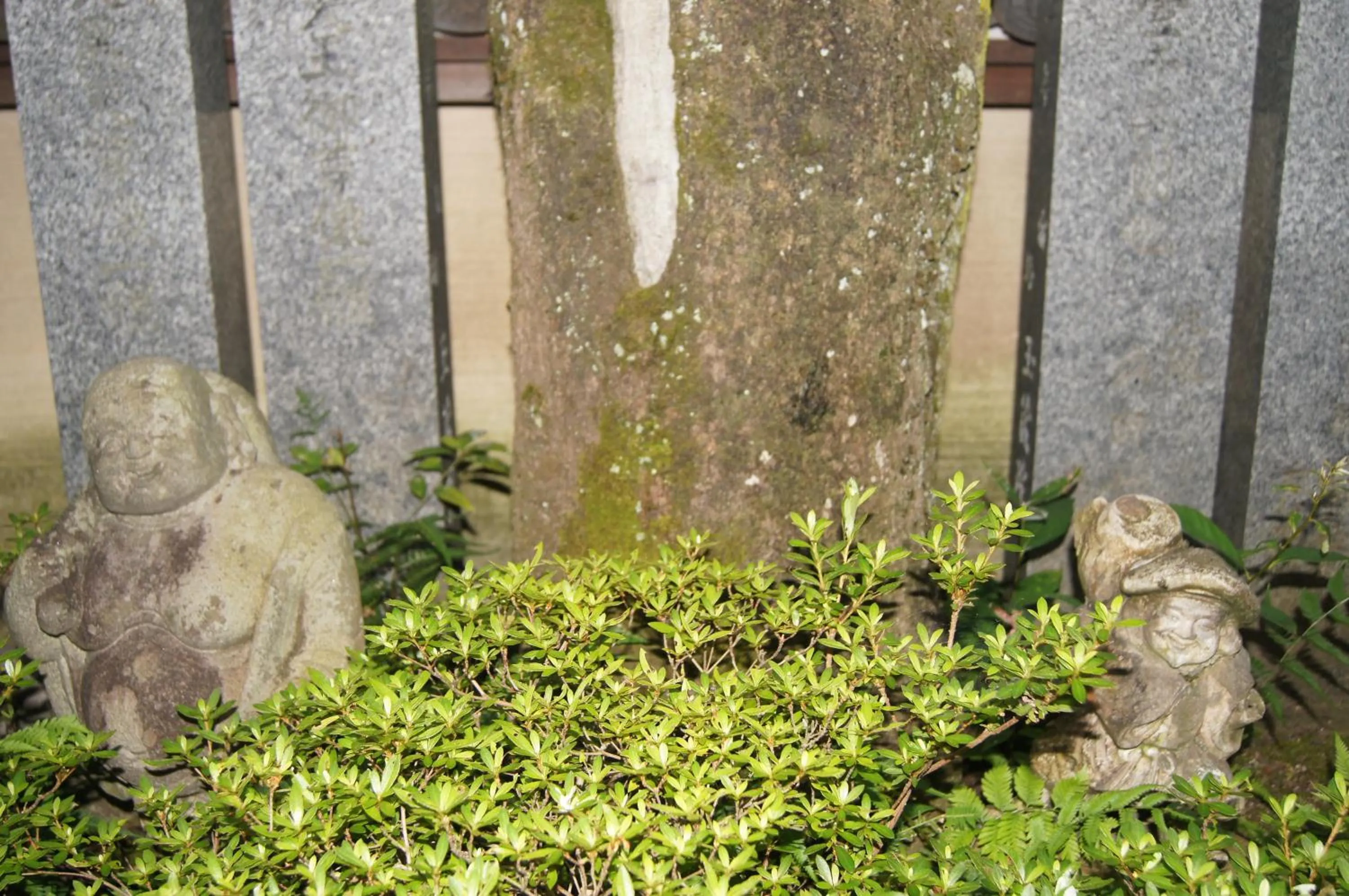 Area and facilities in Gyokuzoin