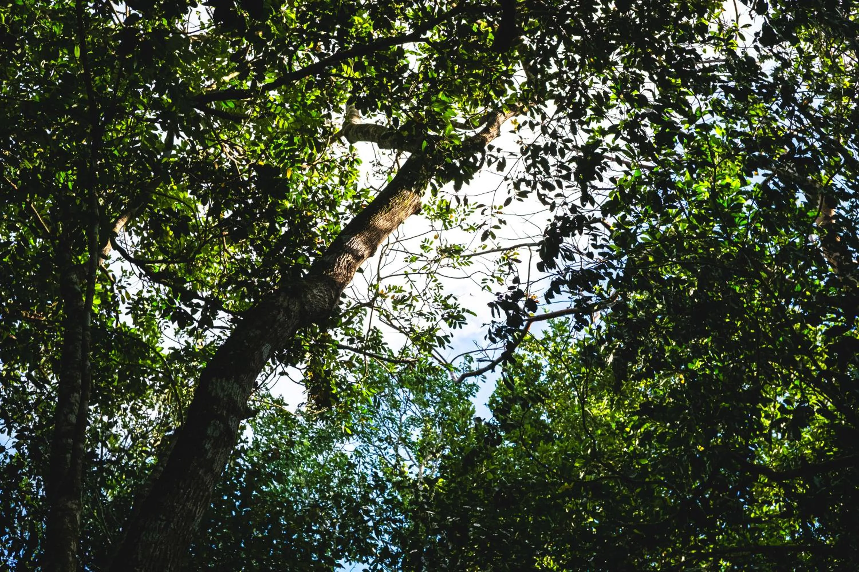 Natural landscape in Hokhmah Heart Hotel