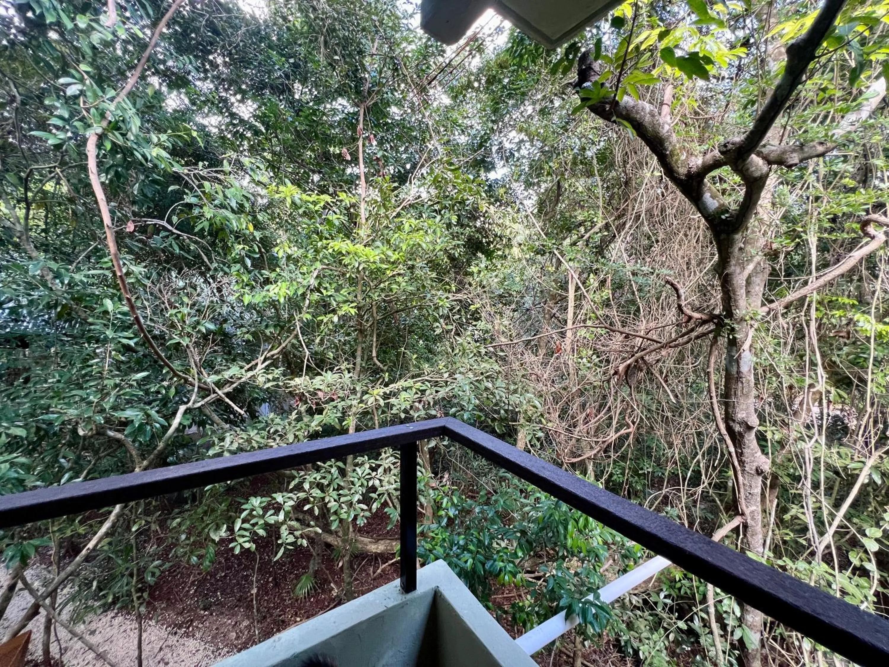 Garden view in Hokhmah Heart Hotel