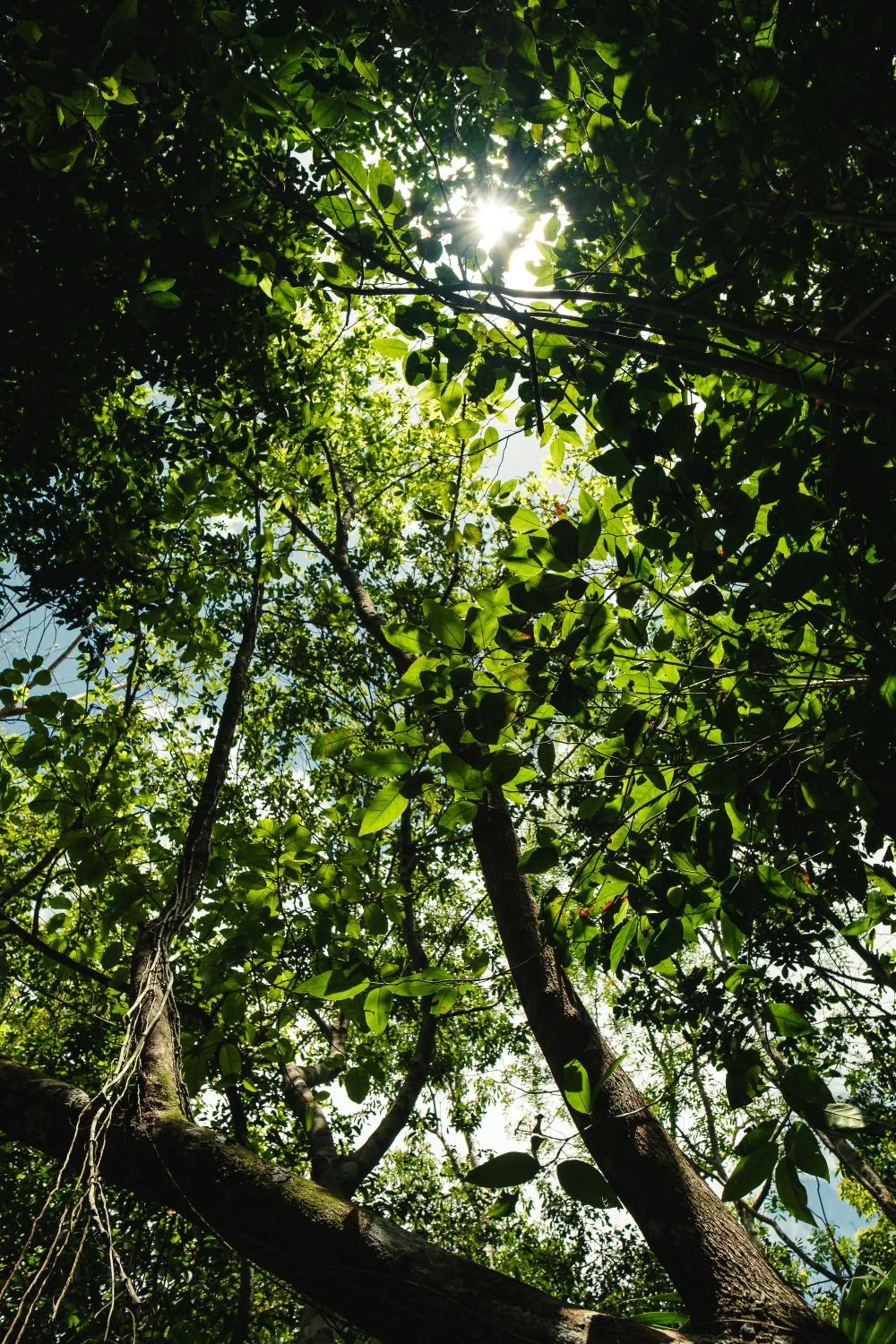 Natural landscape in Hokhmah Heart Hotel