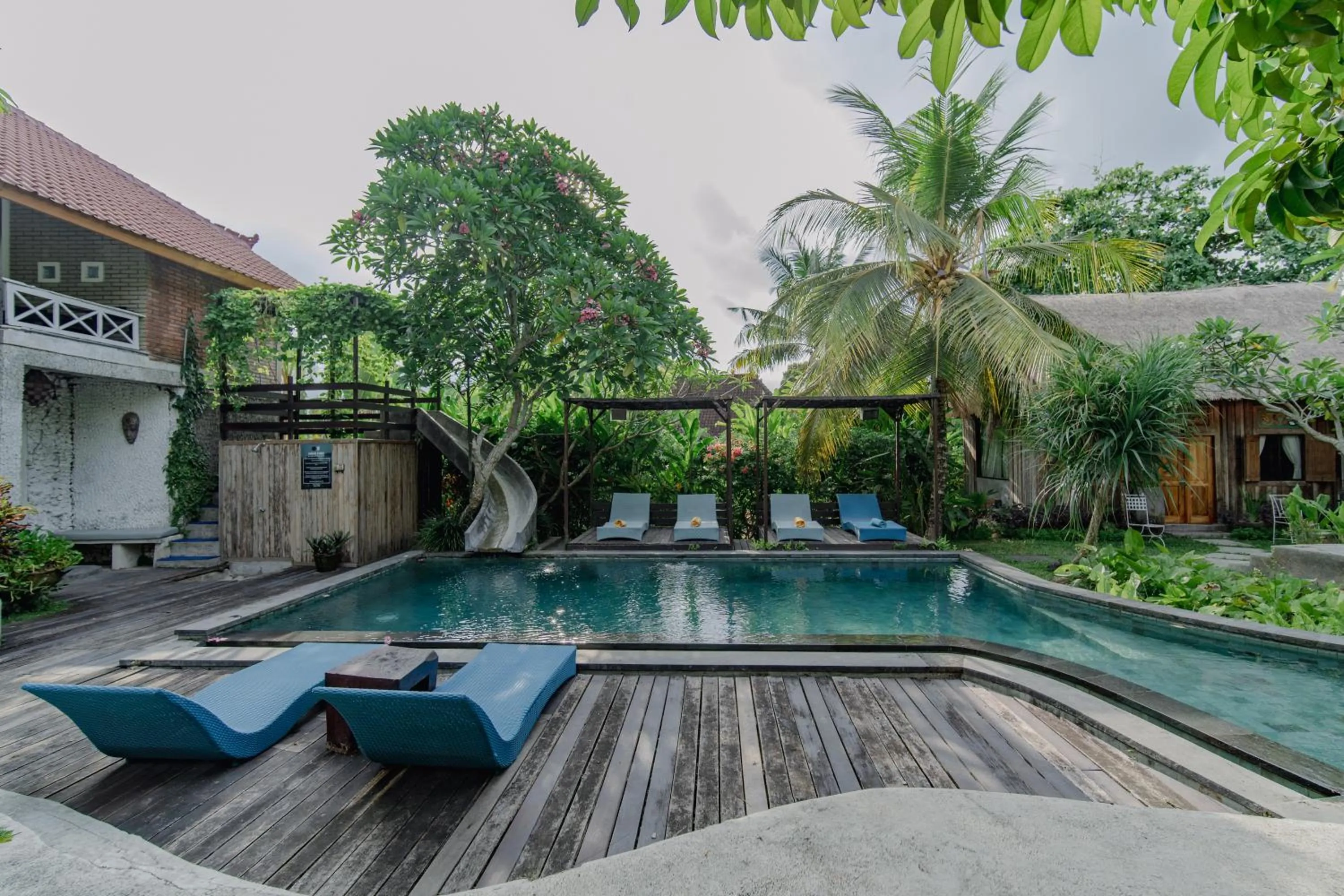 Natural landscape in The Onion Collective