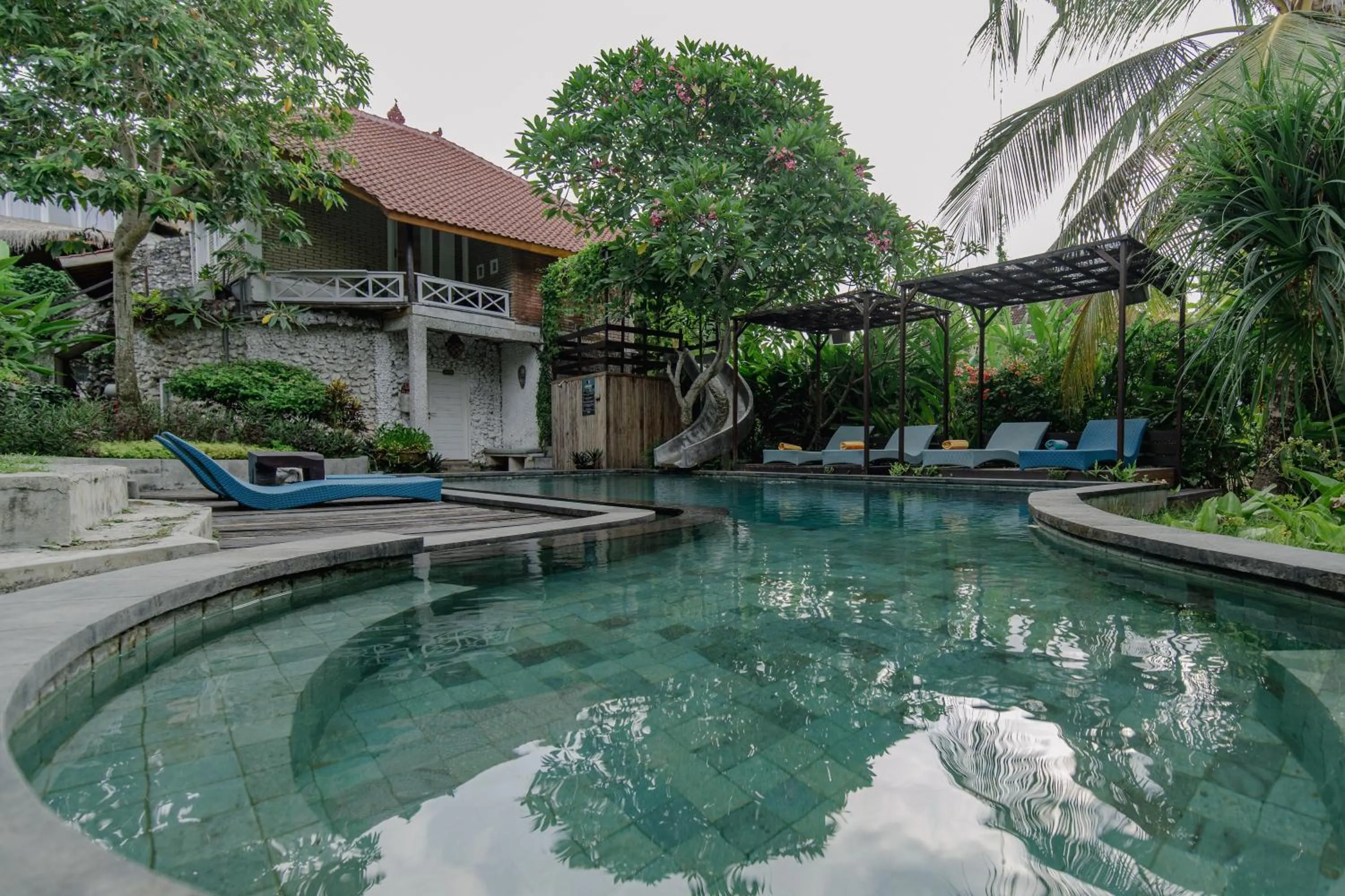 Natural landscape in The Onion Collective