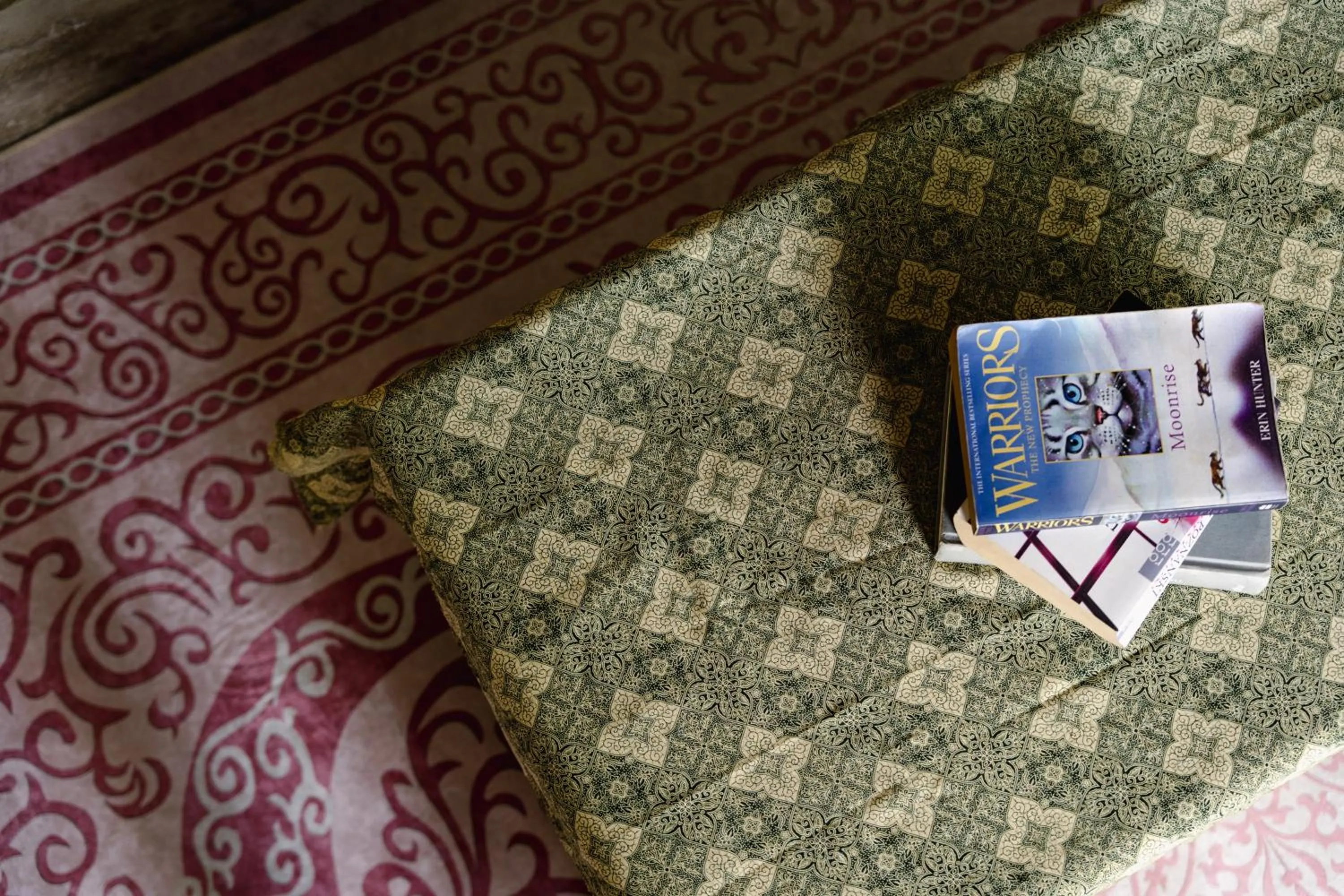 Decorative detail in The Onion Collective