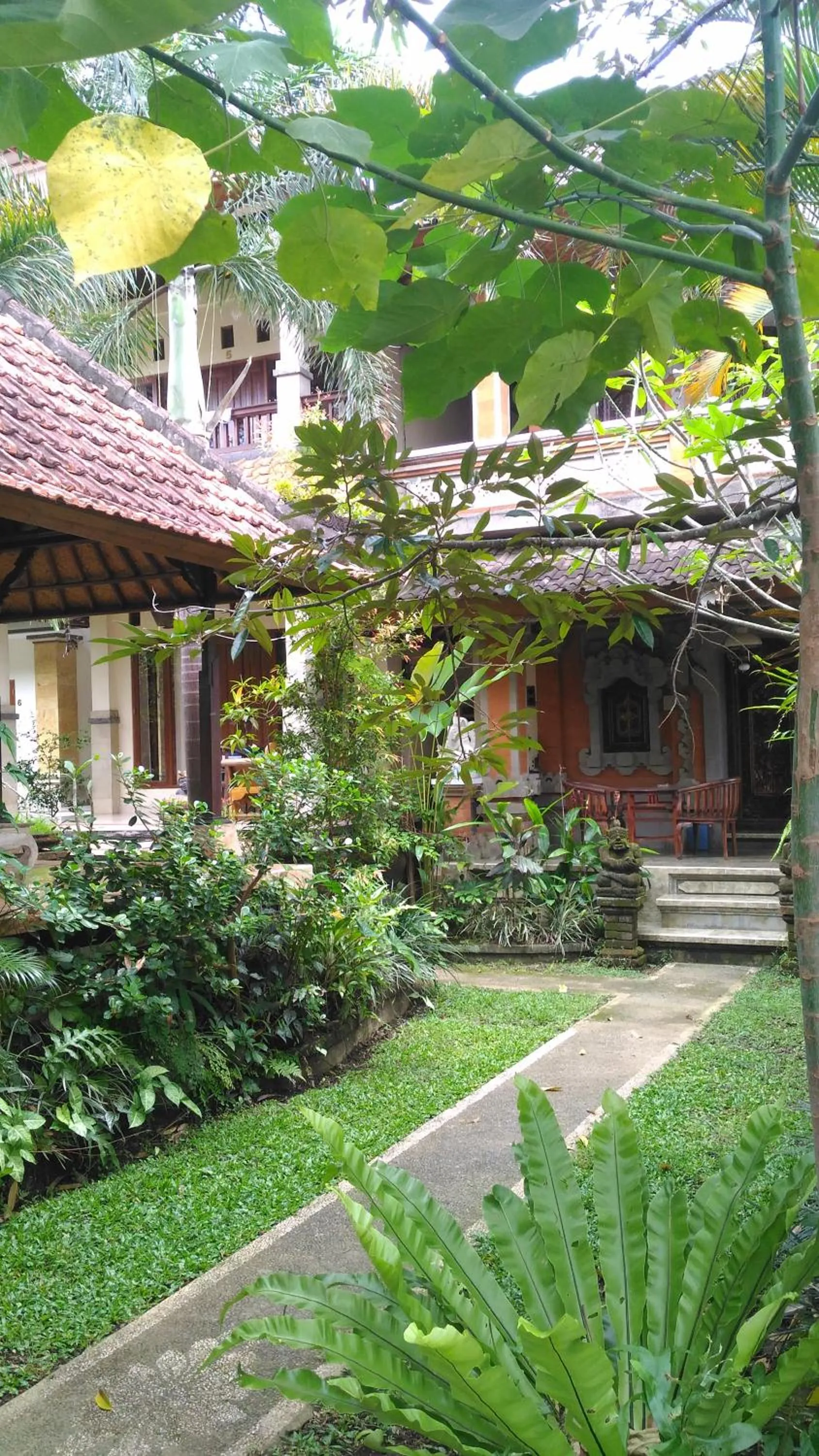 Garden in Bagus Homestay