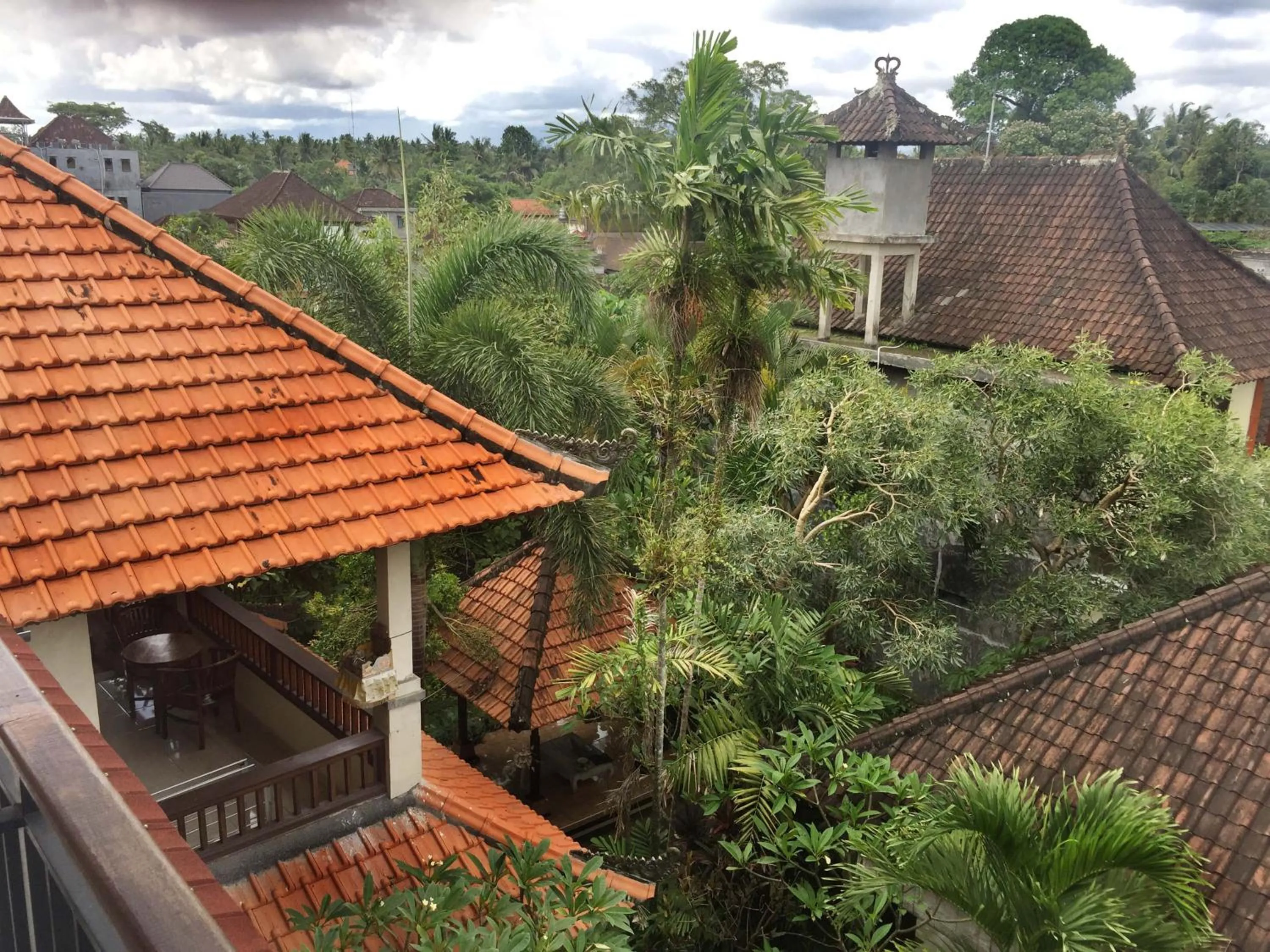 Garden view in Bagus Homestay
