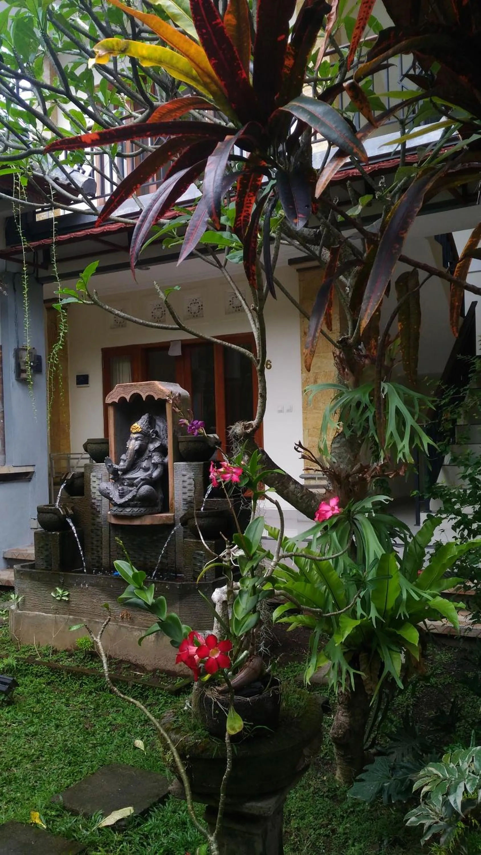 Garden in Bagus Homestay