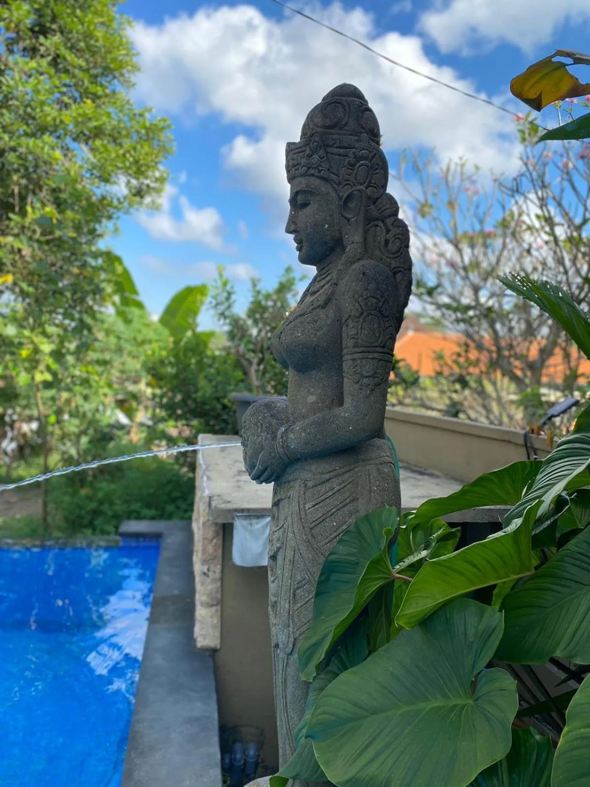 Pool view in Bagus Homestay