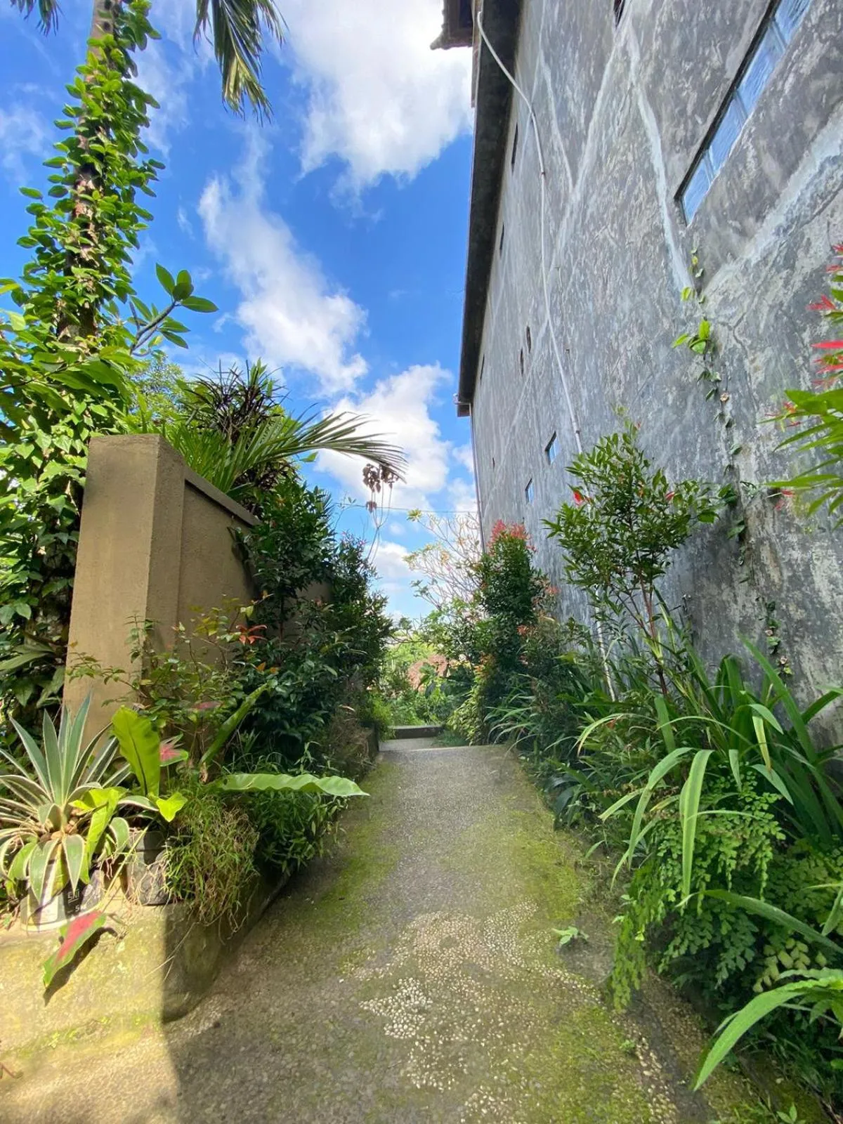 Spring in Bagus Homestay