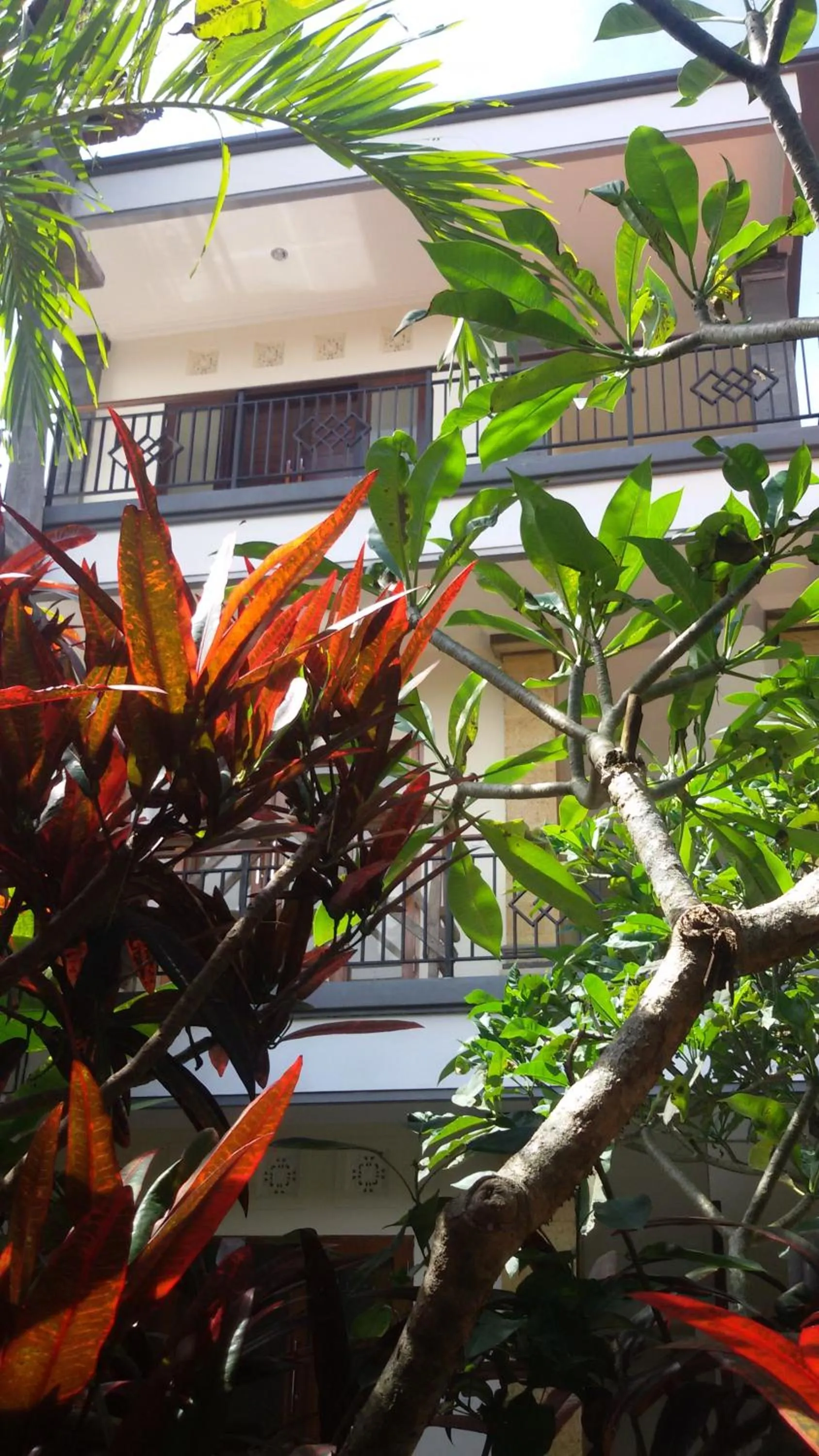 Garden in Bagus Homestay