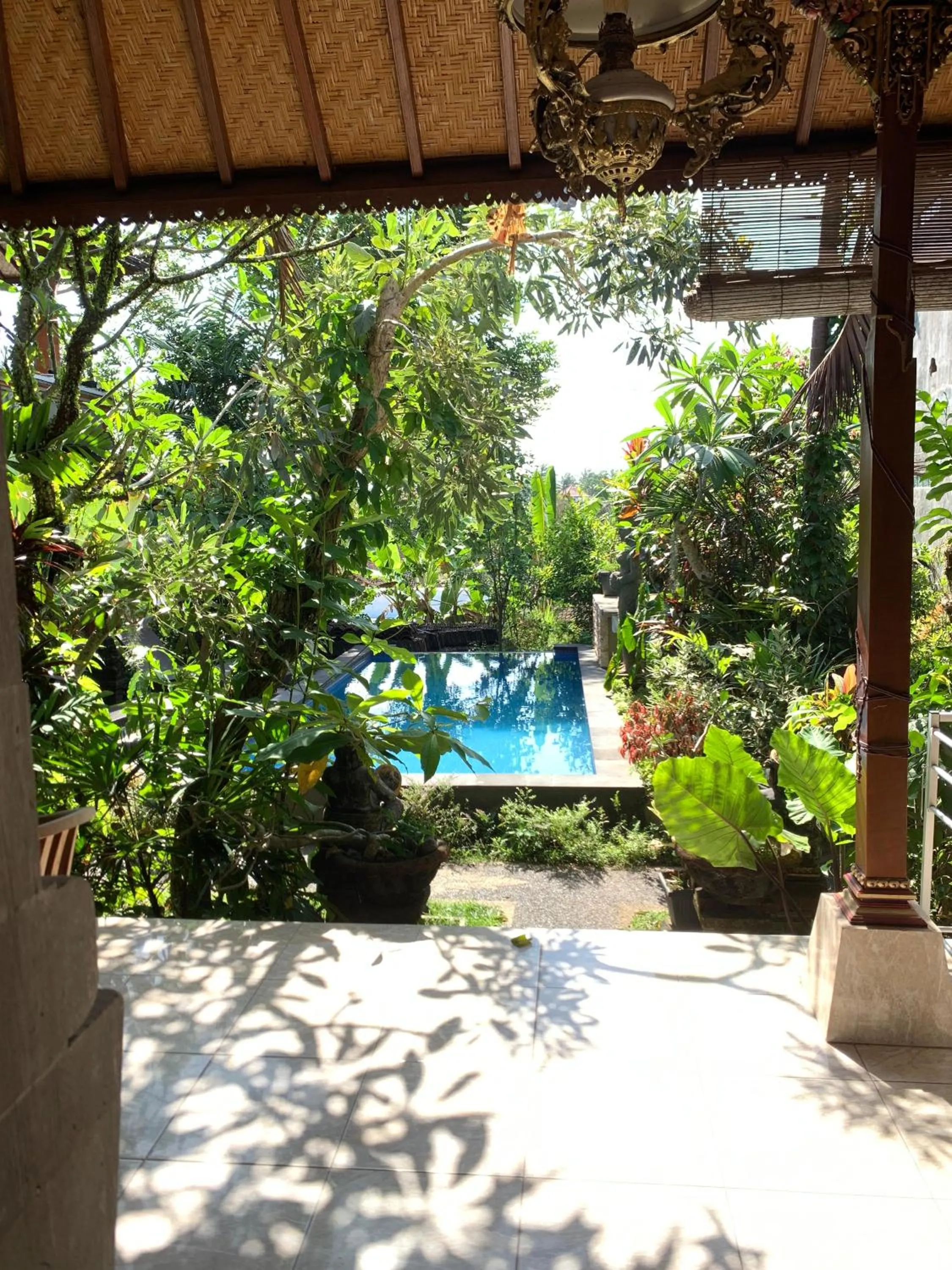 Garden view in Bagus Homestay