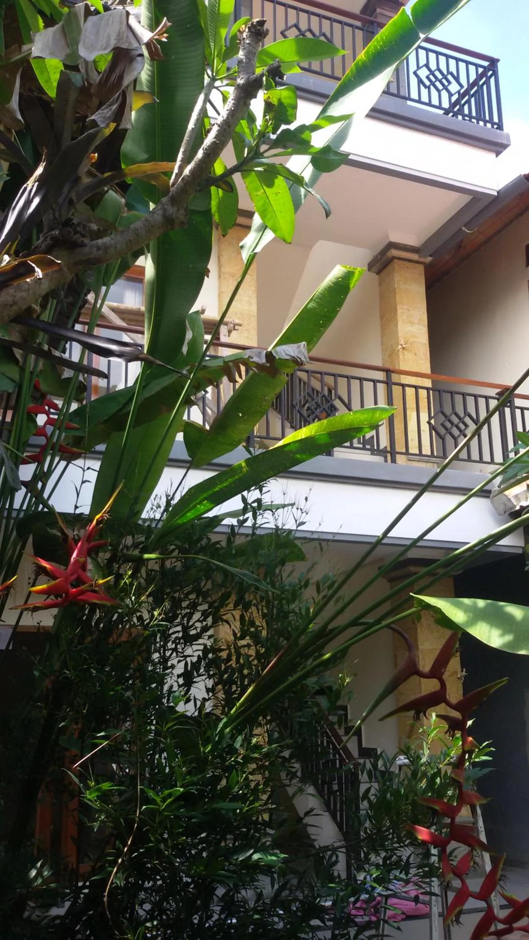 Garden in Bagus Homestay