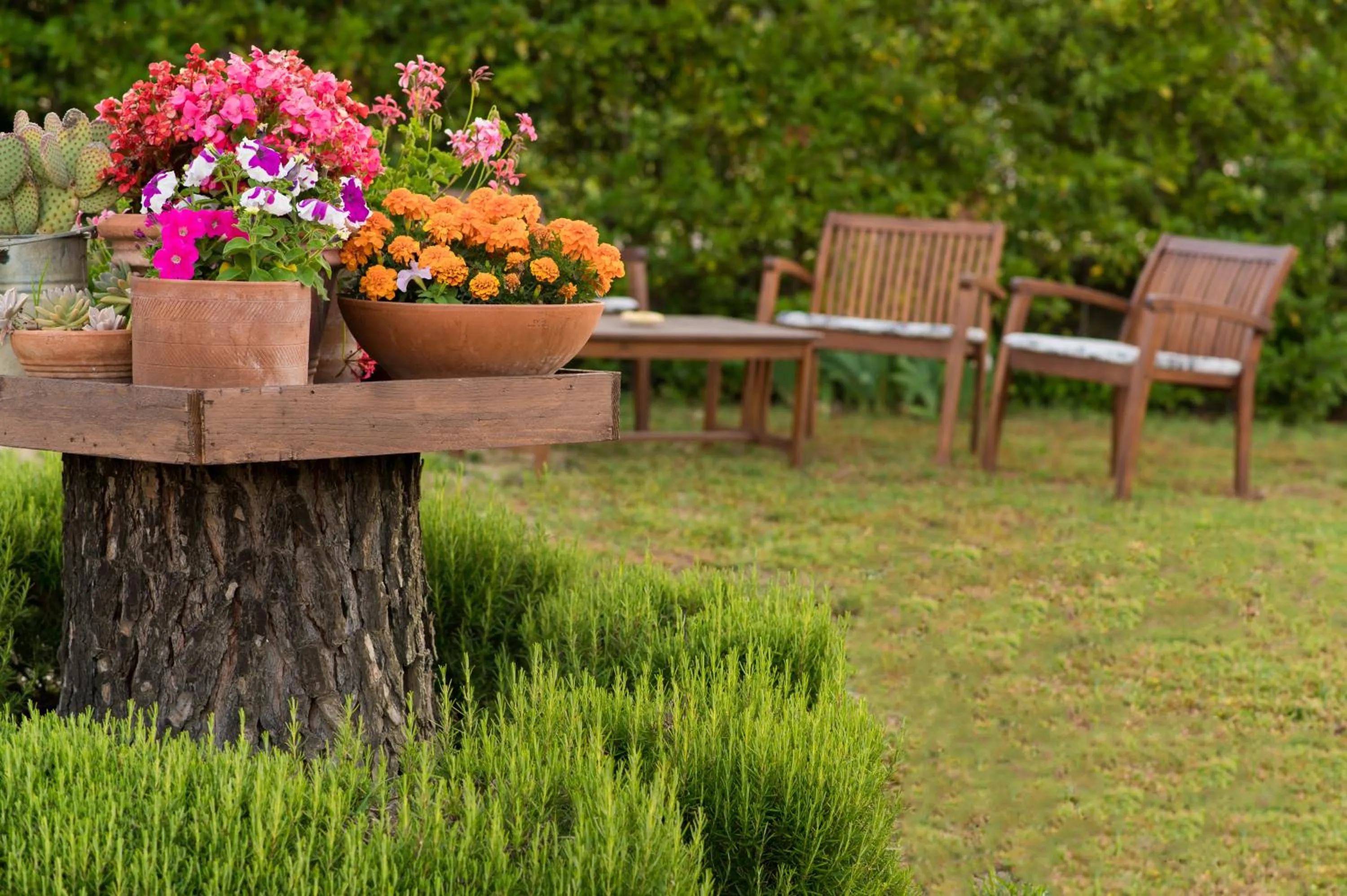 Garden in Hotel San Michele
