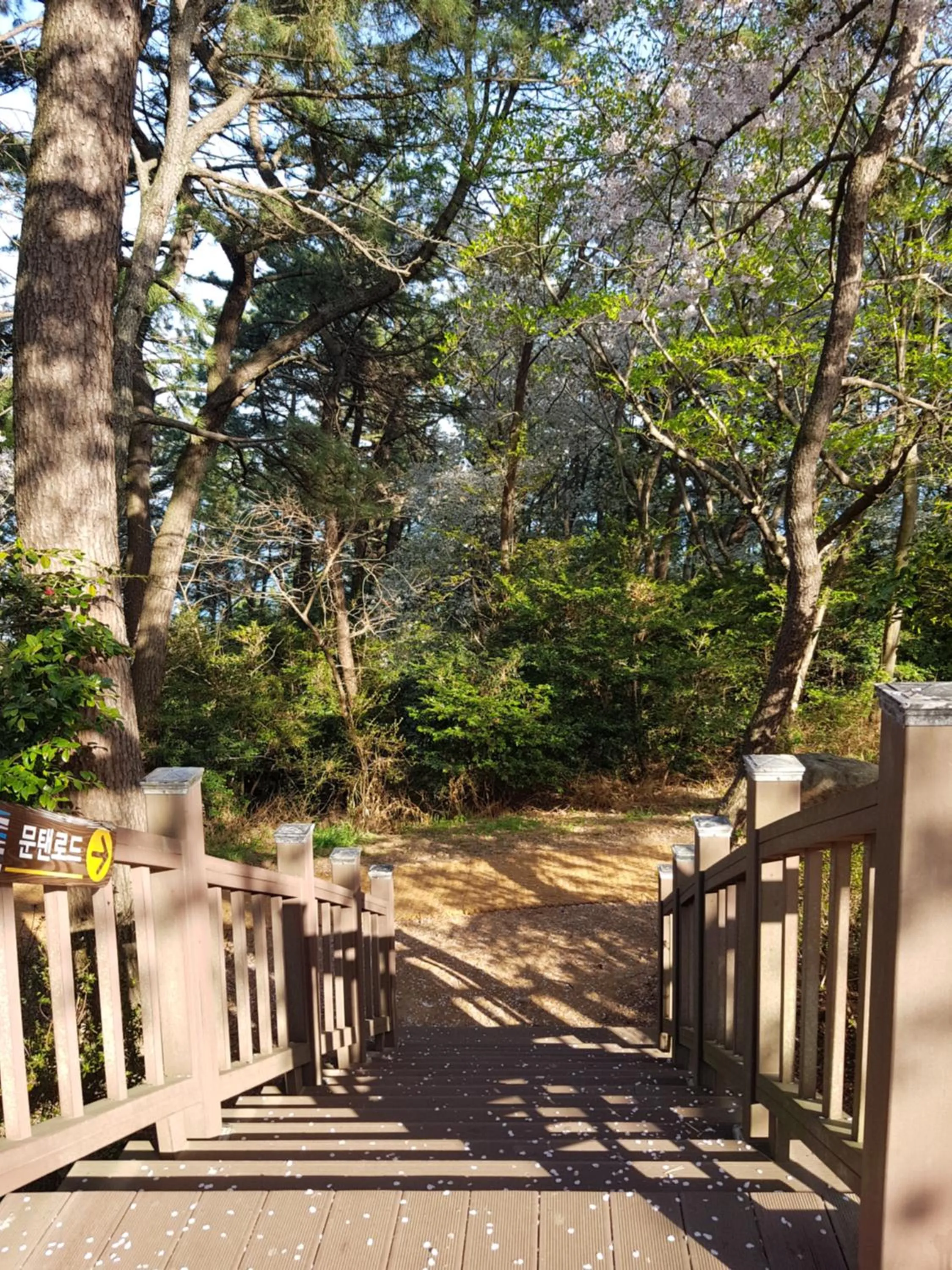 Activities in Suntree Hotel