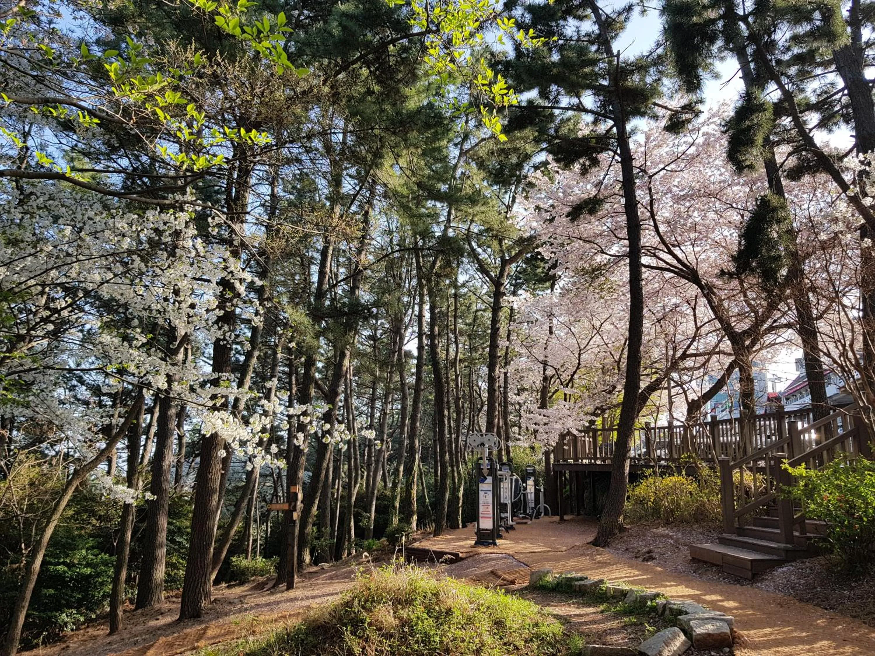 Activities in Suntree Hotel