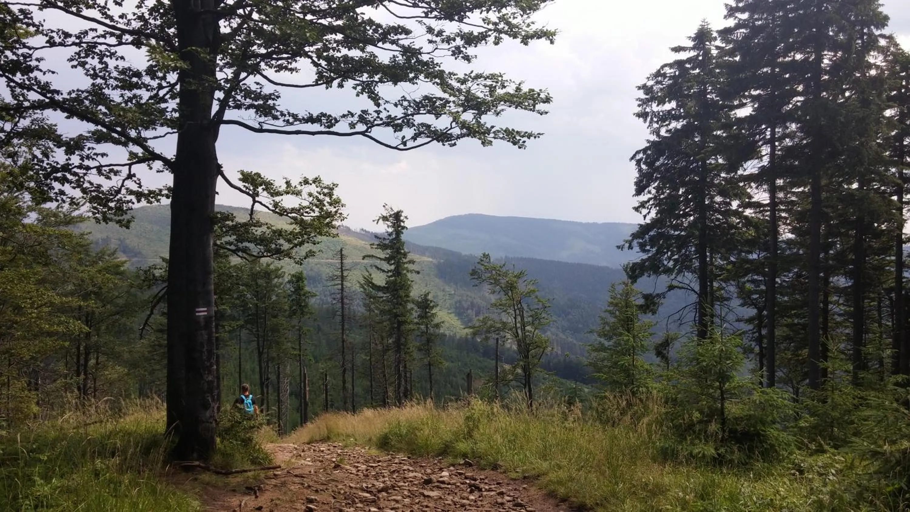 Off site in Pod Klimczokiem I