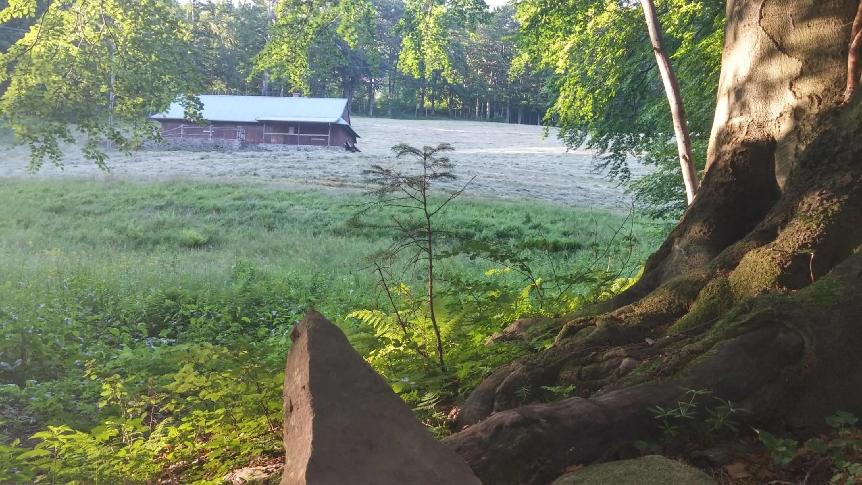 Off site in Pod Klimczokiem I