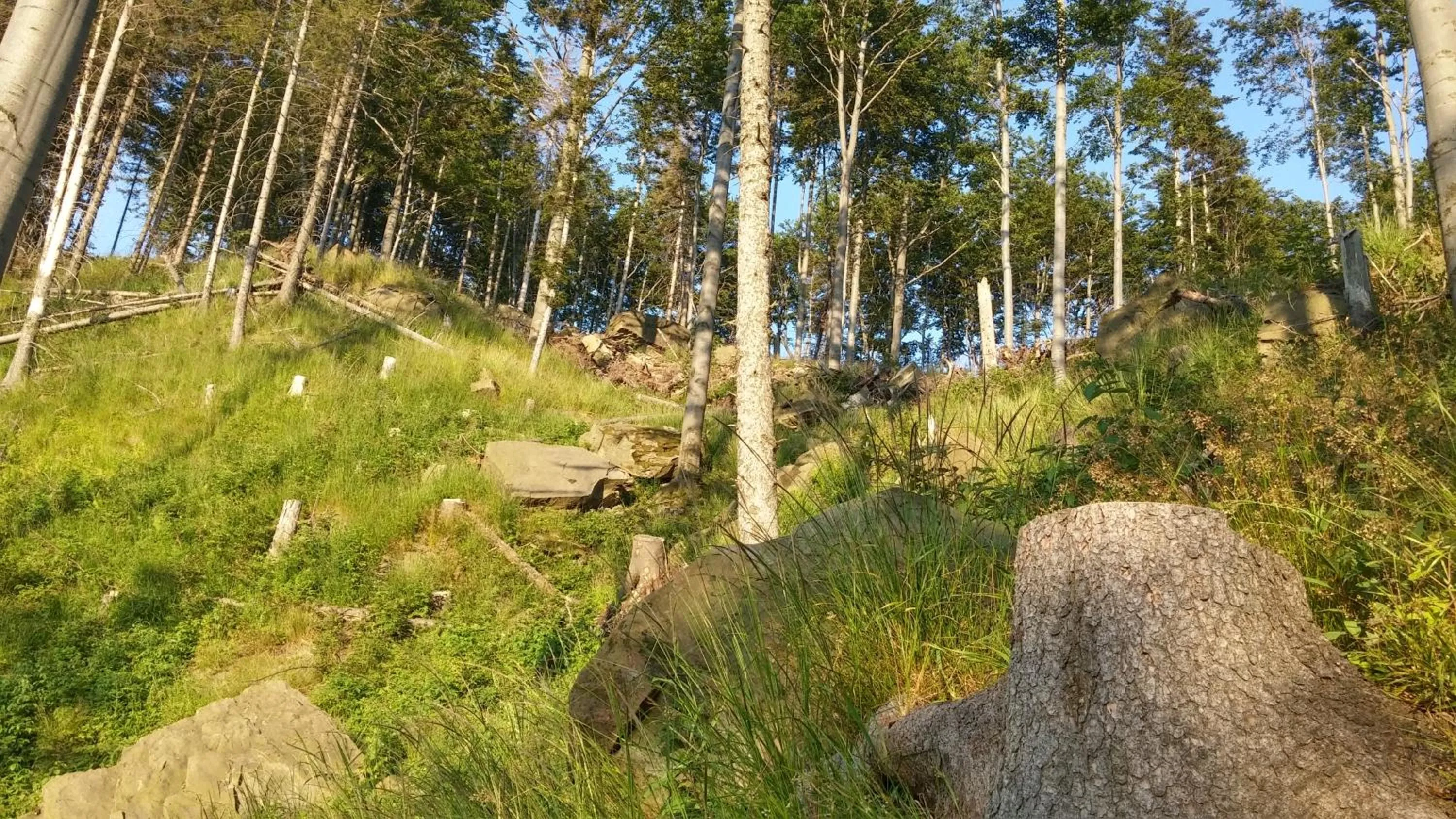 Off site in Pod Klimczokiem I