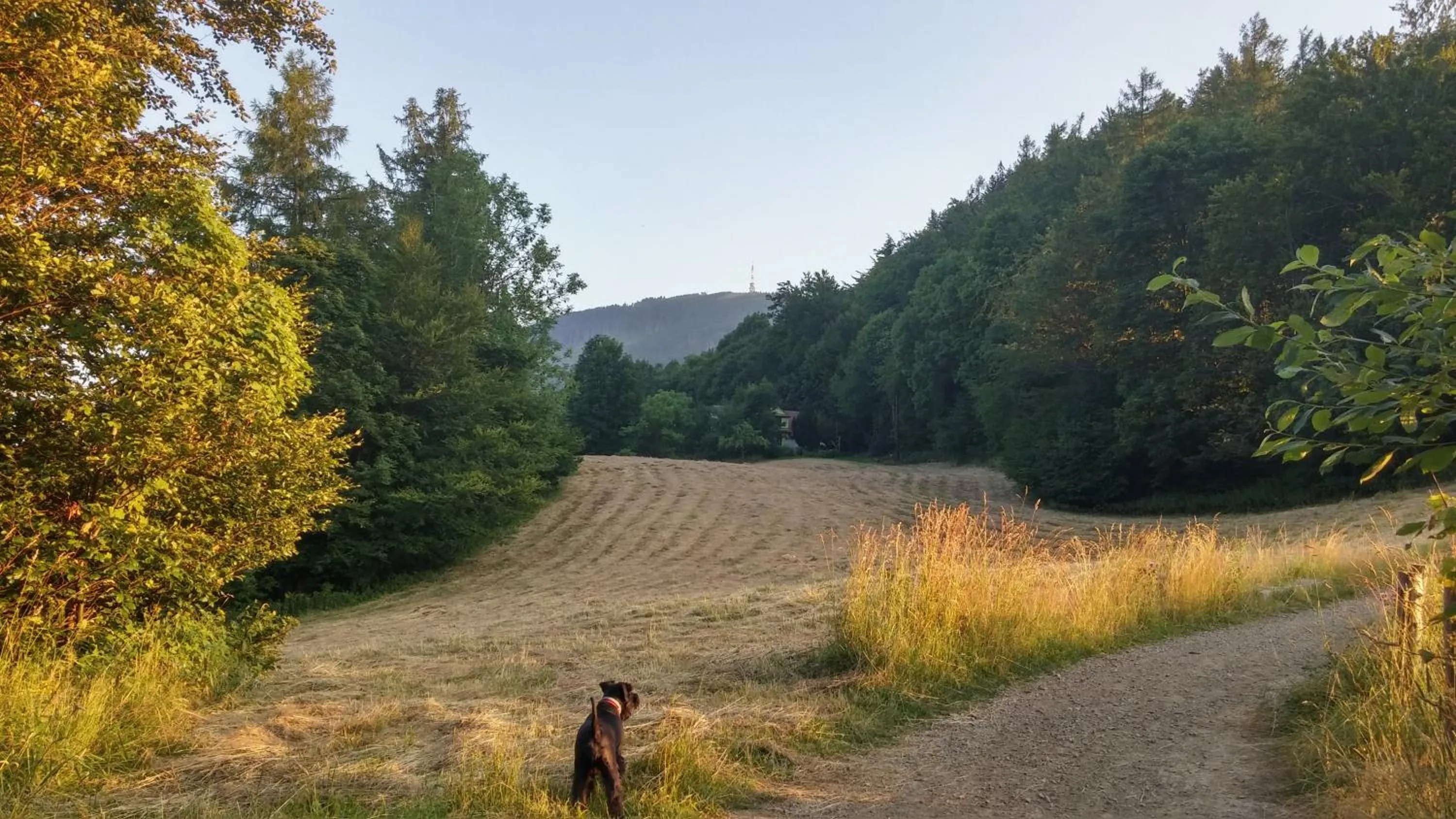 Off site in Pod Klimczokiem I