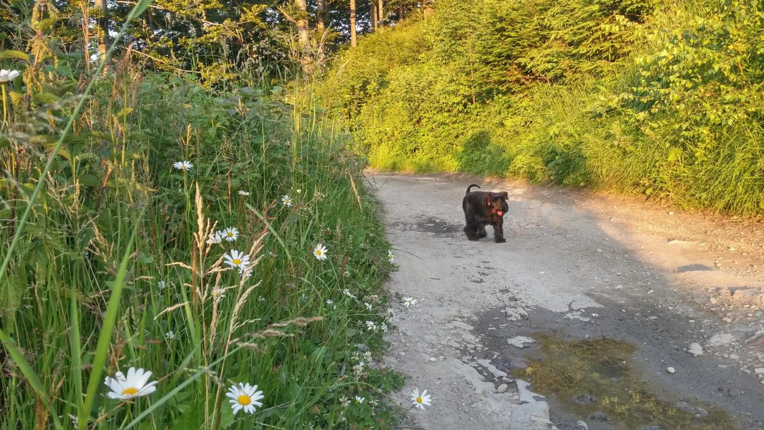 Off site in Pod Klimczokiem I