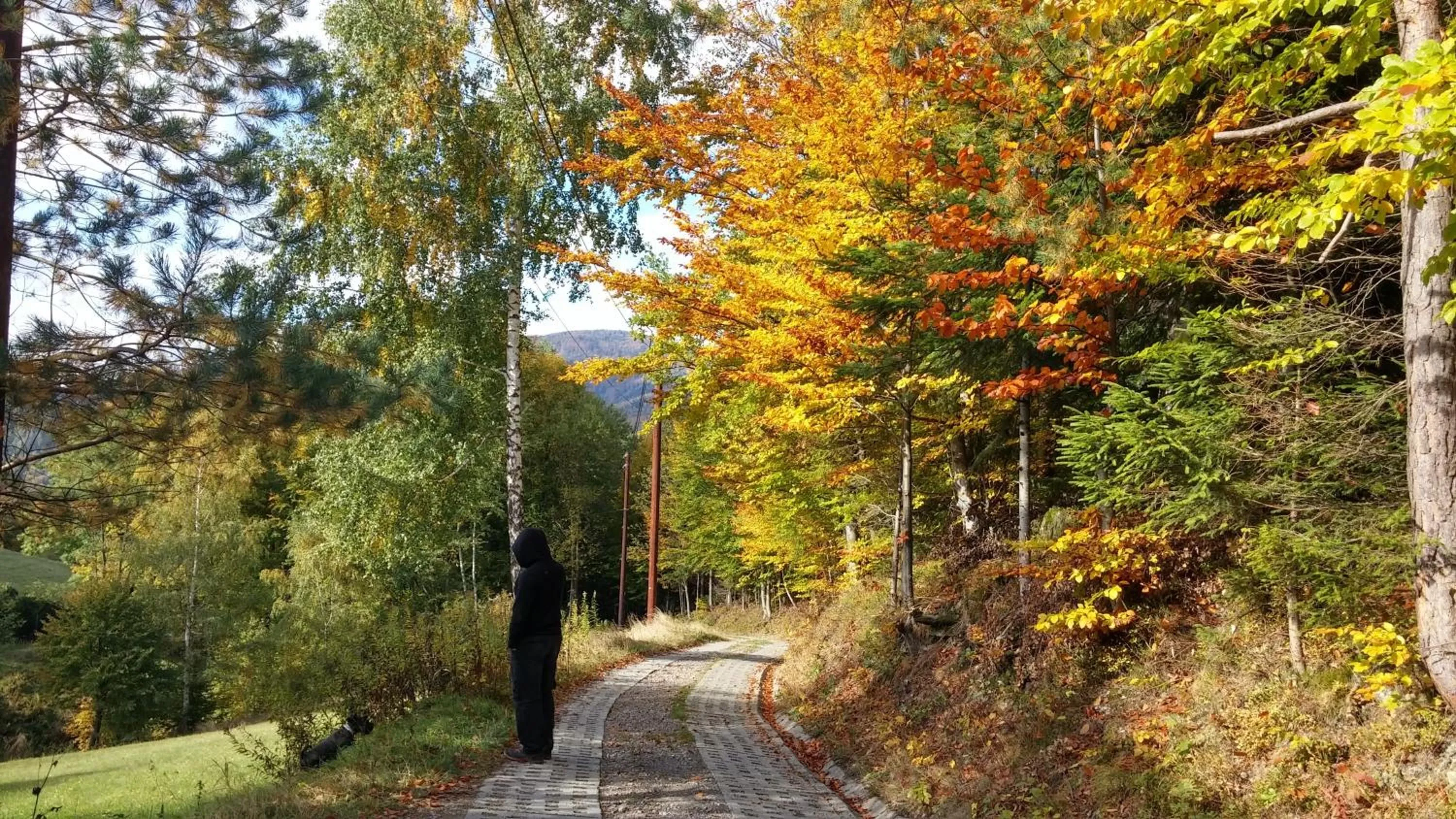 Hiking in Pod Klimczokiem I