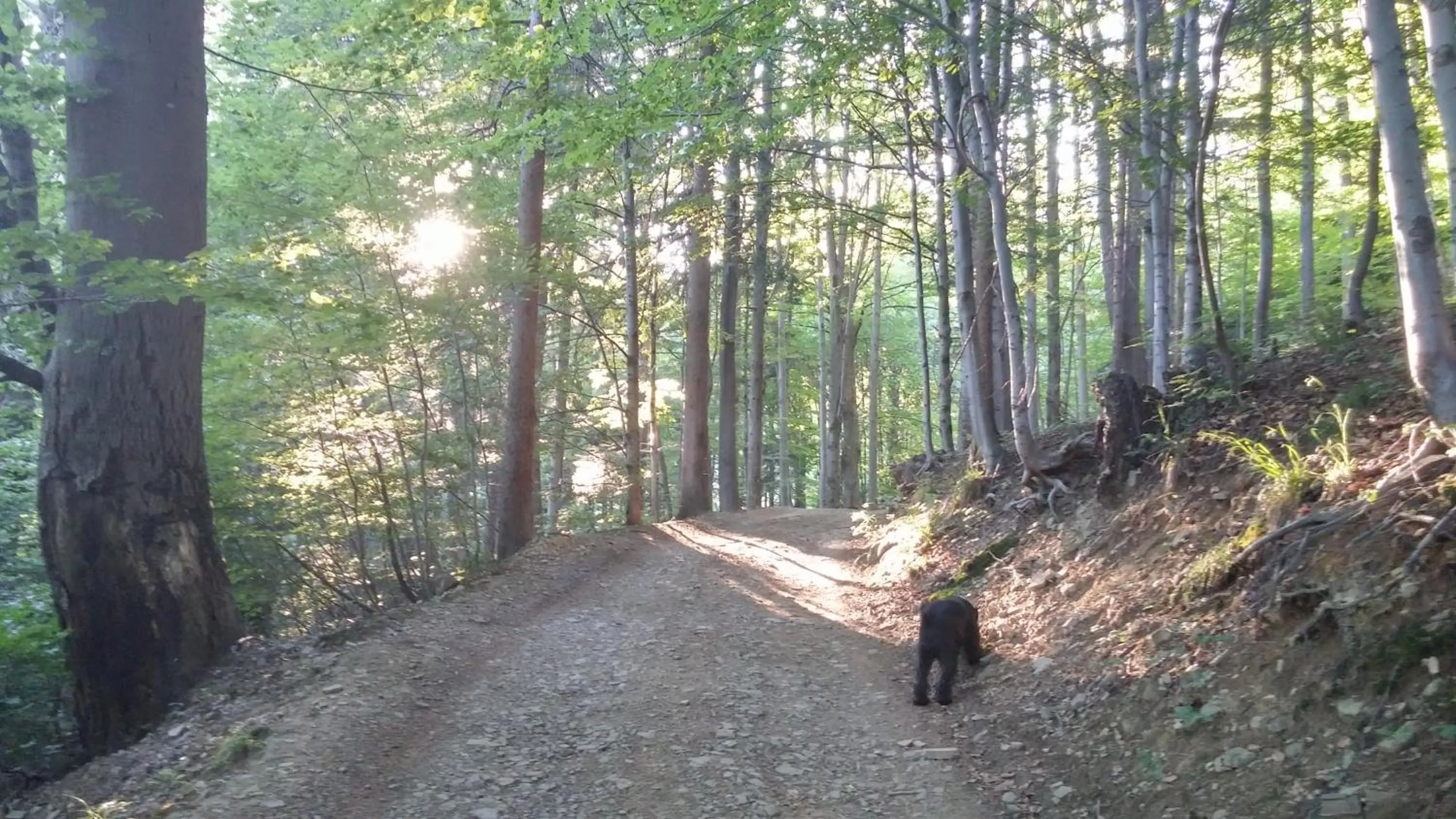 Off site in Pod Klimczokiem I