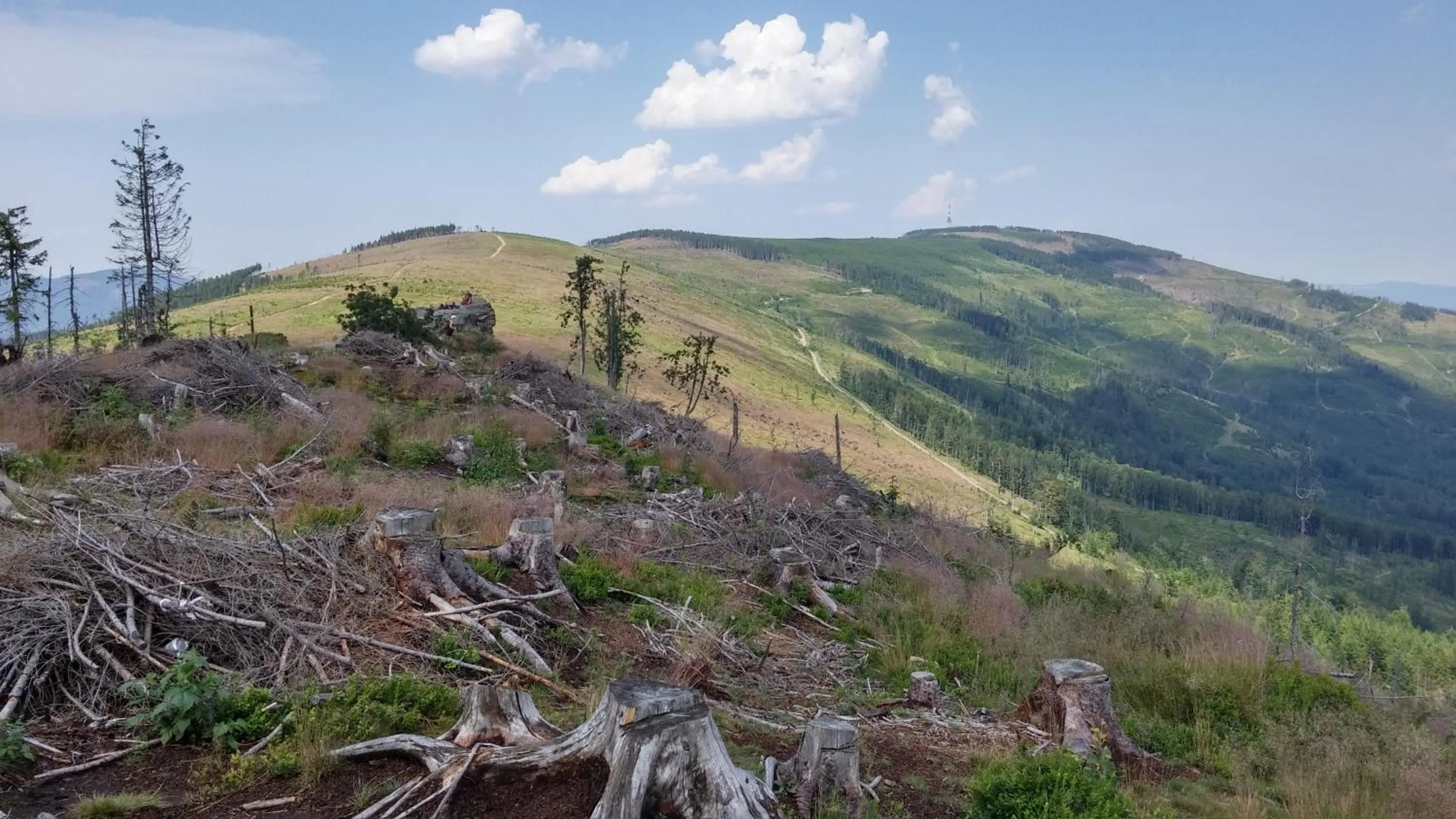 Off site in Pod Klimczokiem I