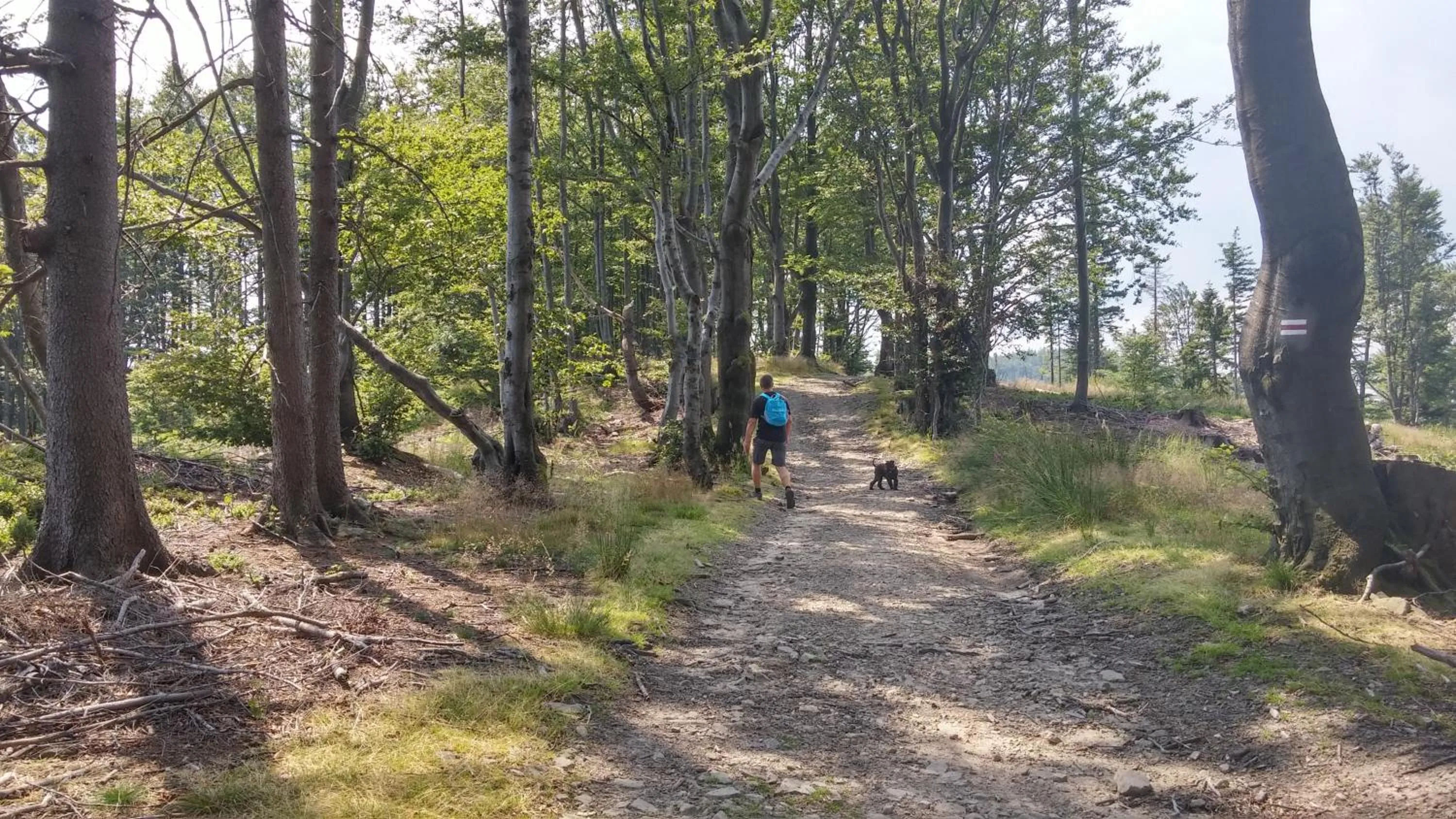 Off site in Pod Klimczokiem I