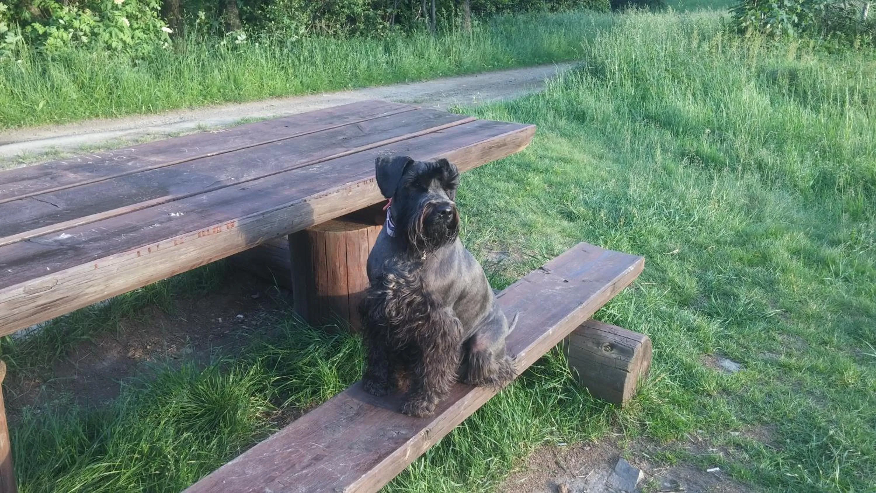 Off site in Pod Klimczokiem I