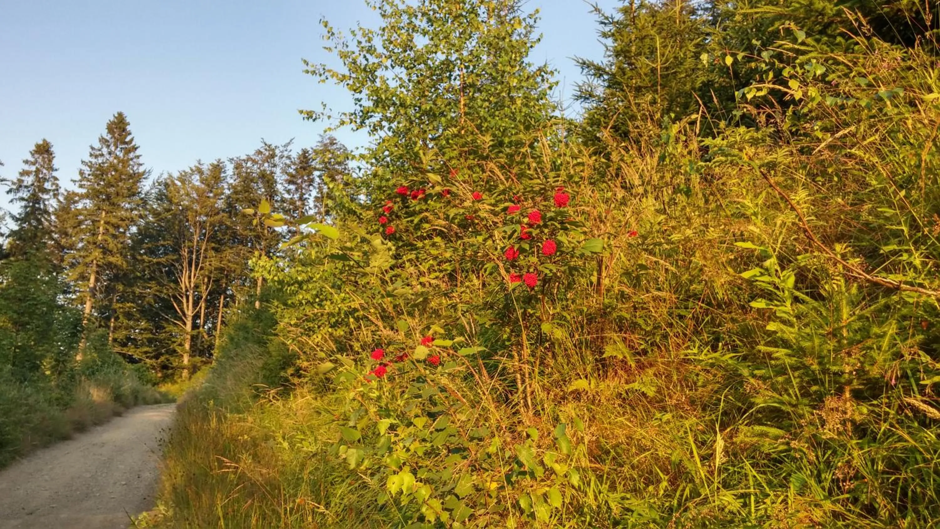 Off site in Pod Klimczokiem I