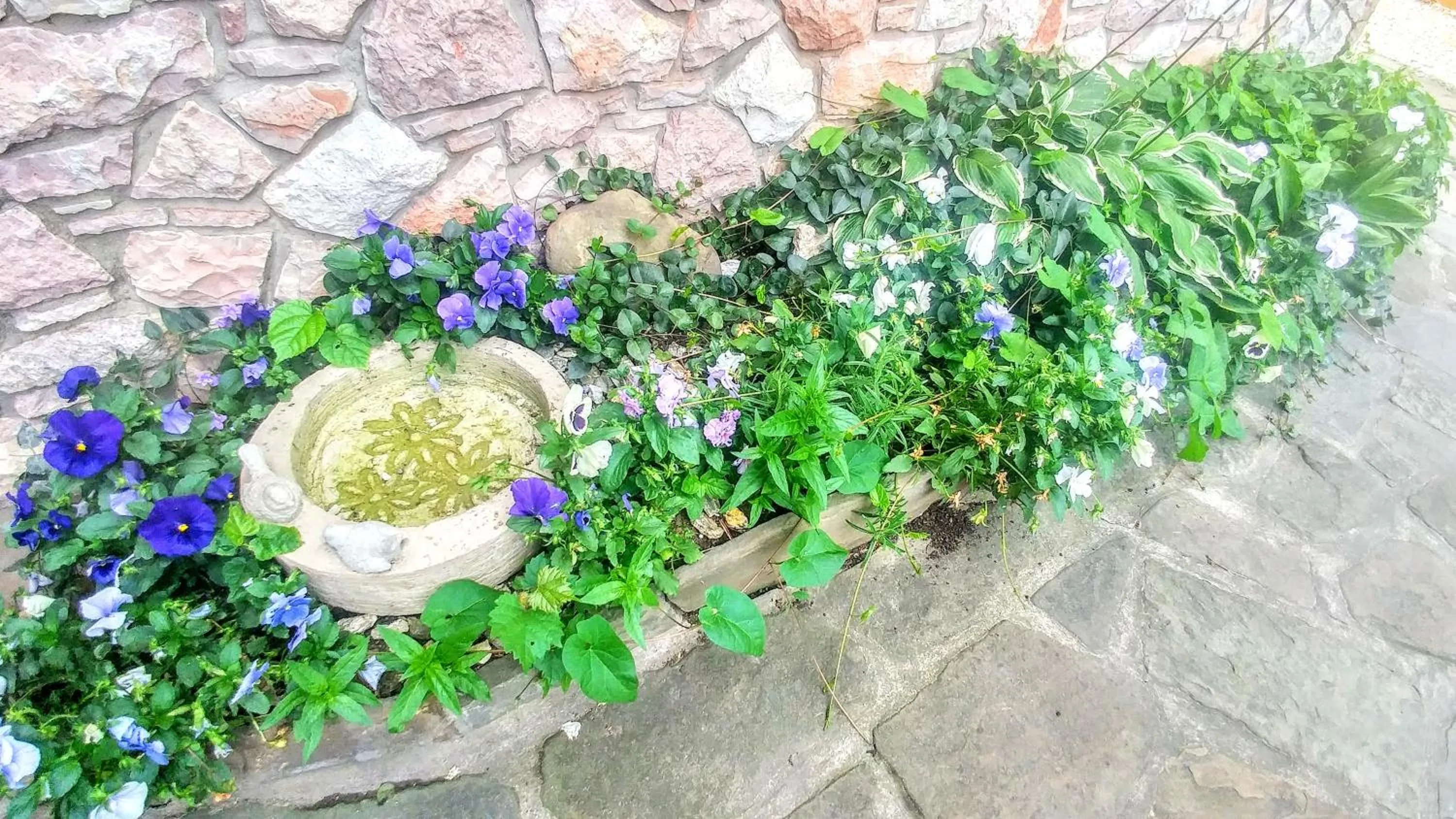 Area and facilities in Pod Klimczokiem I