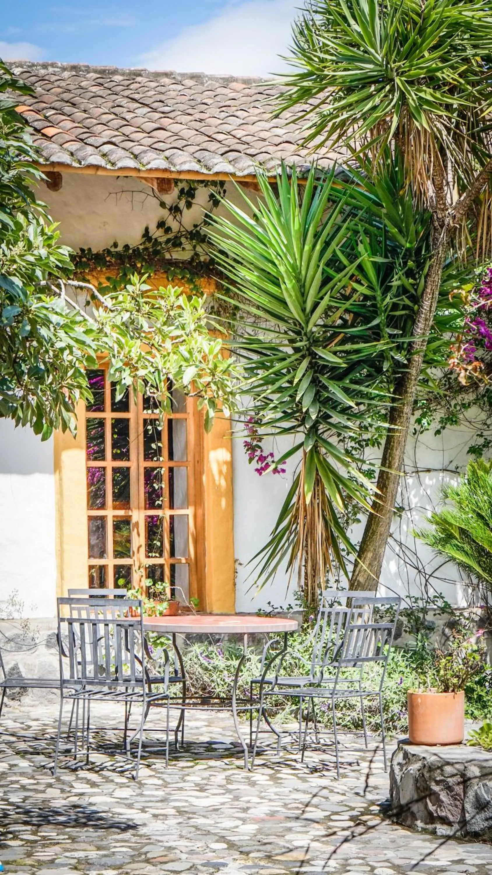 Patio in Hosteria Museart Pantavi