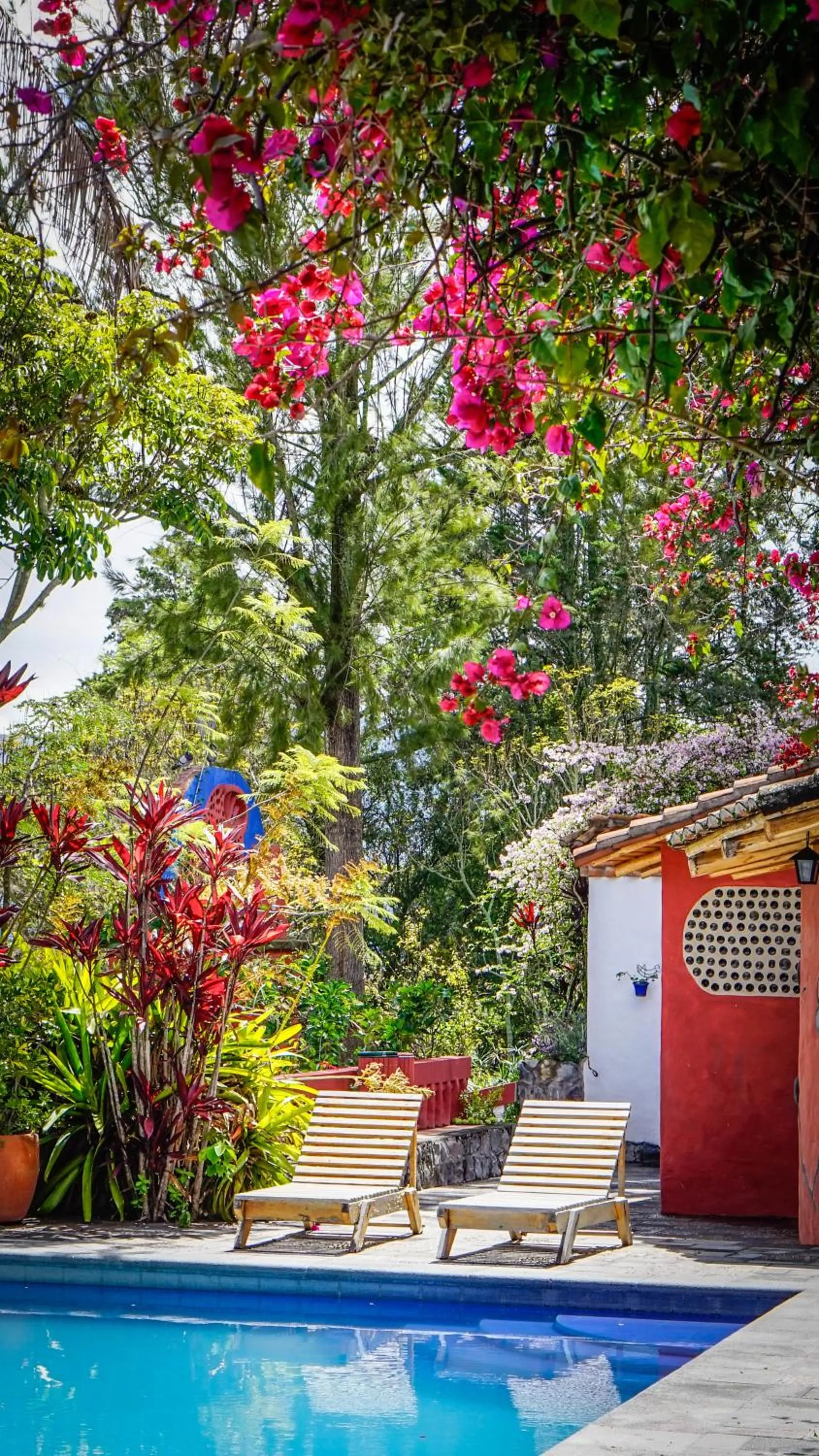 Garden in Hosteria Museart Pantavi