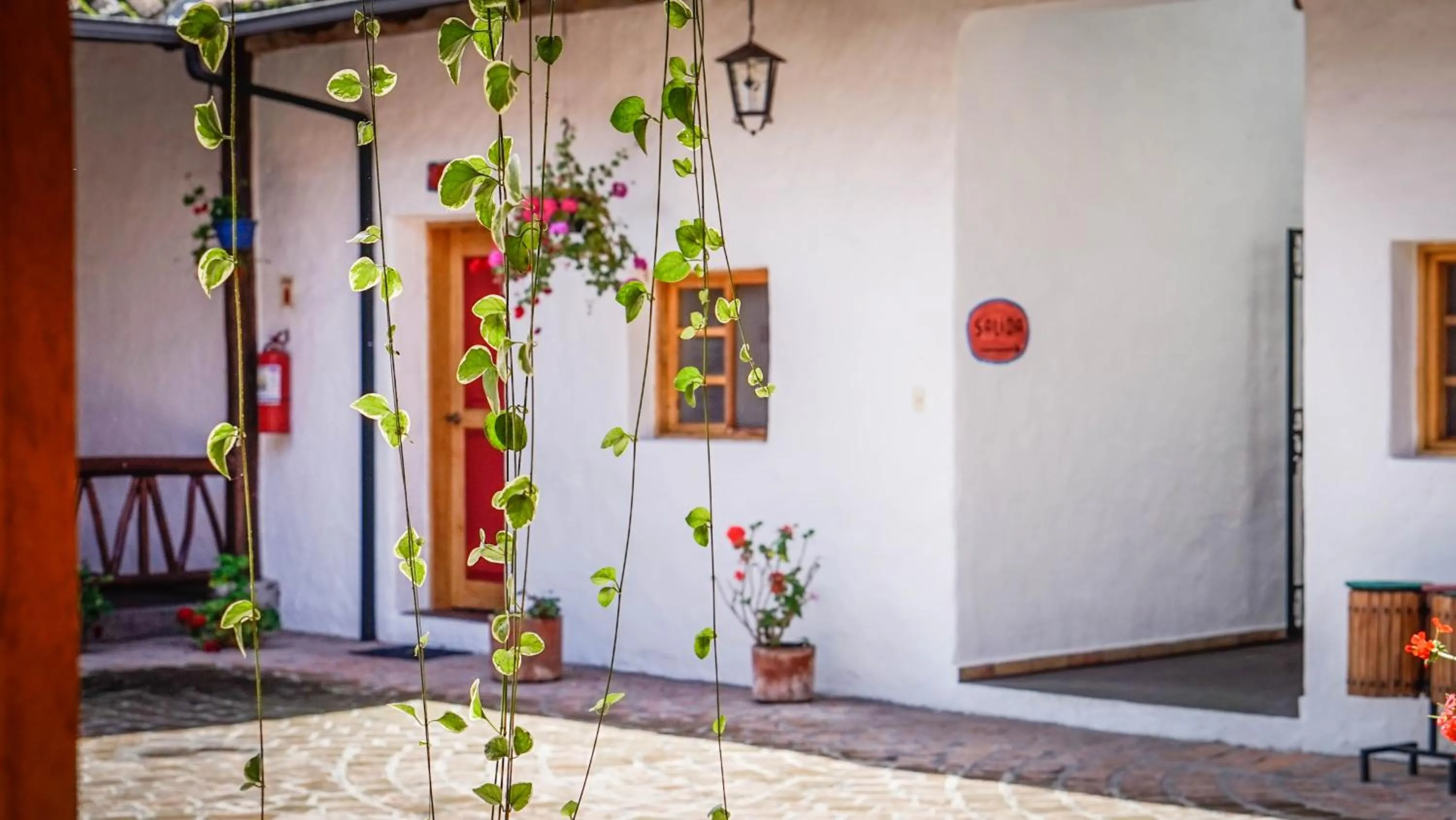 Patio in Hosteria Museart Pantavi