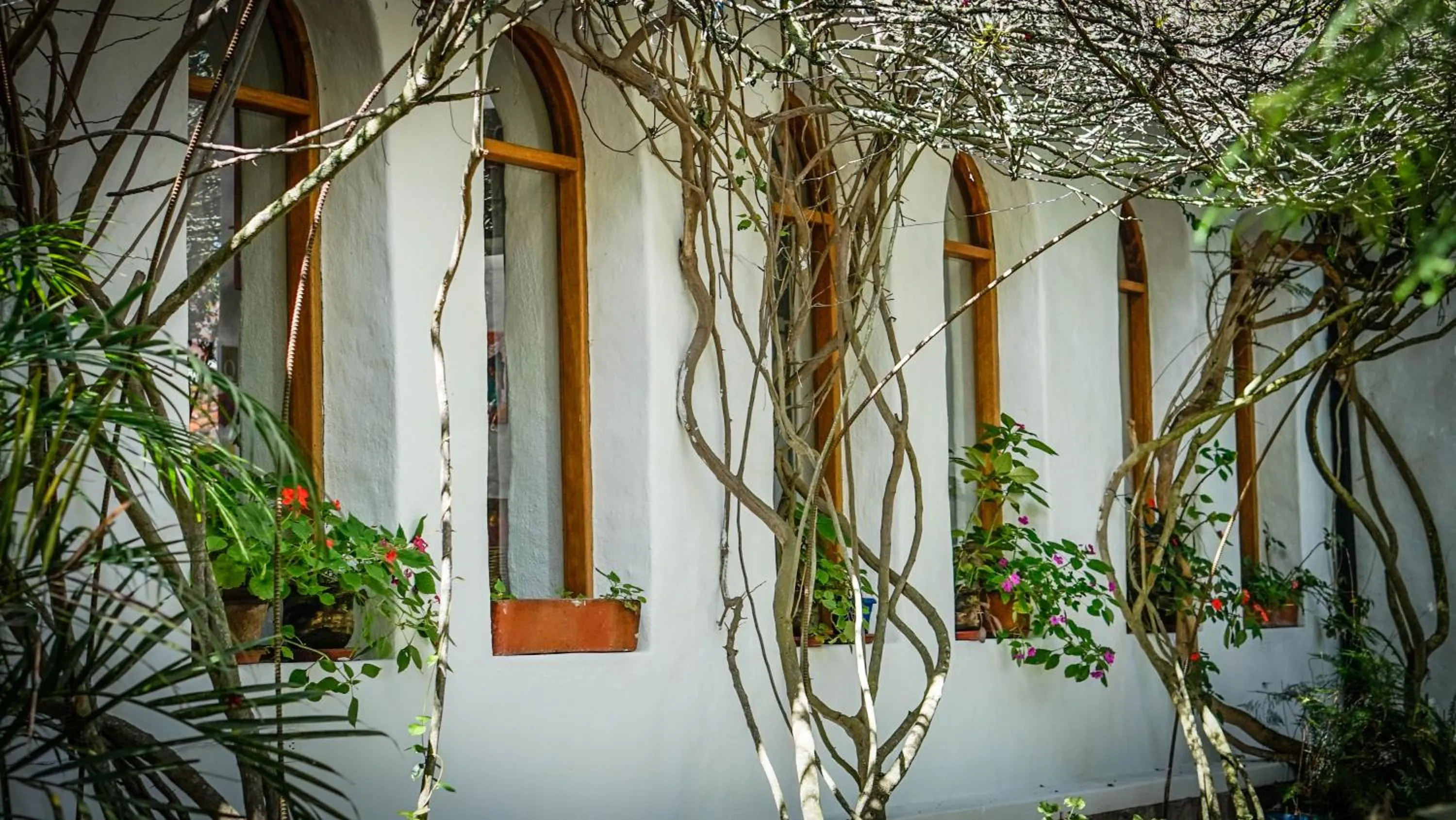 Facade/entrance in Hosteria Museart Pantavi