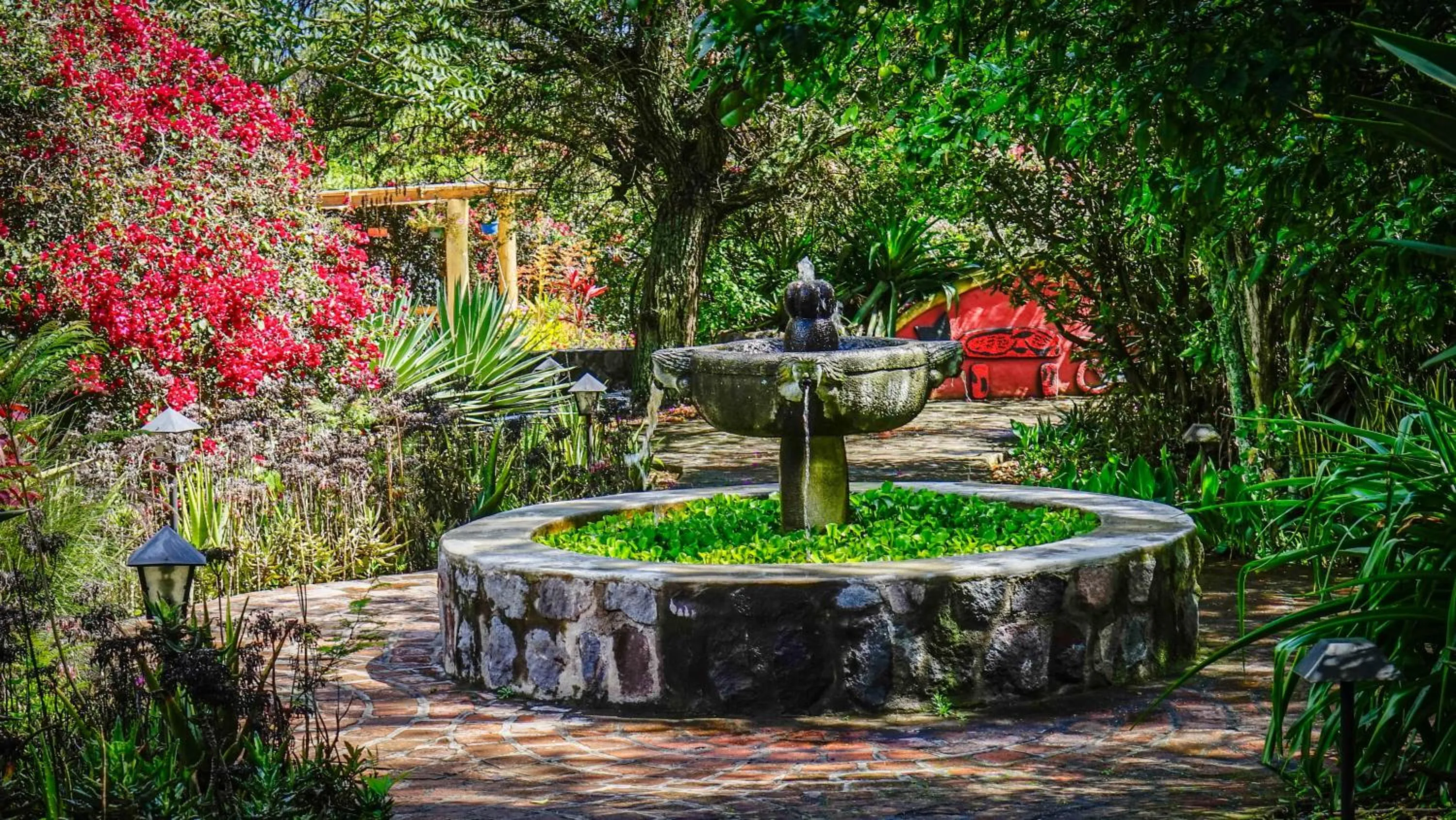 Garden in Hosteria Museart Pantavi