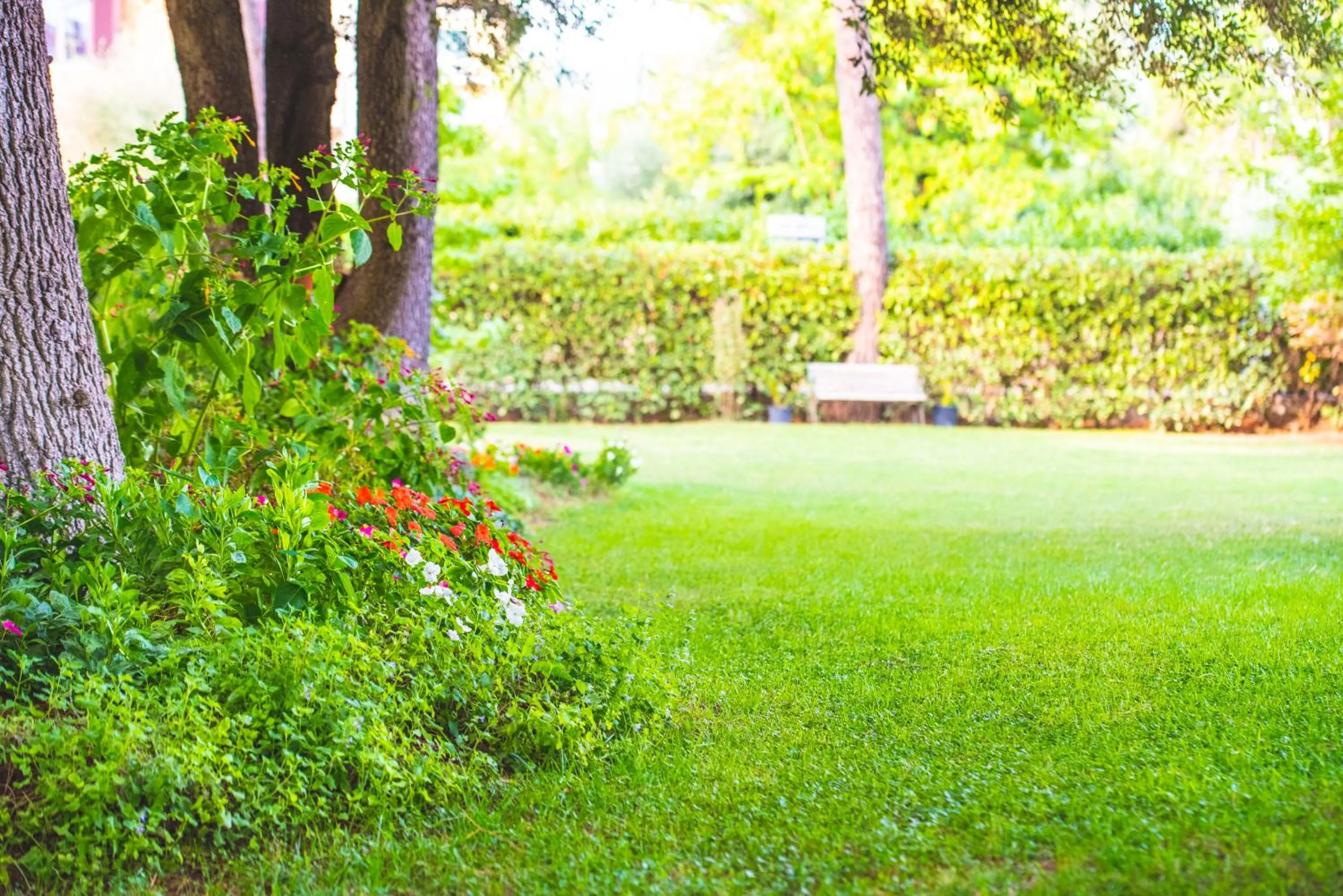 Garden in B&B Il Girasole